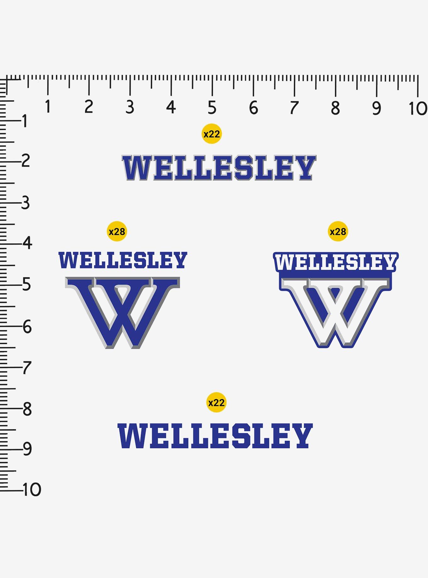 Wellesley College 100ct Sticker Pack, , alternate