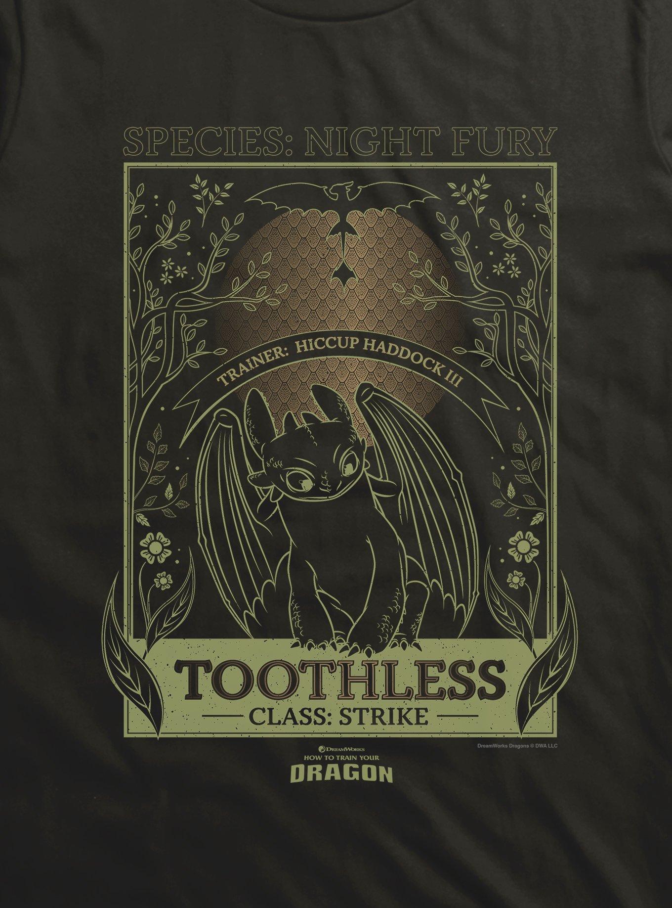 How To Train Your Dragon Toothless Species Card T-Shirt, , hi-res