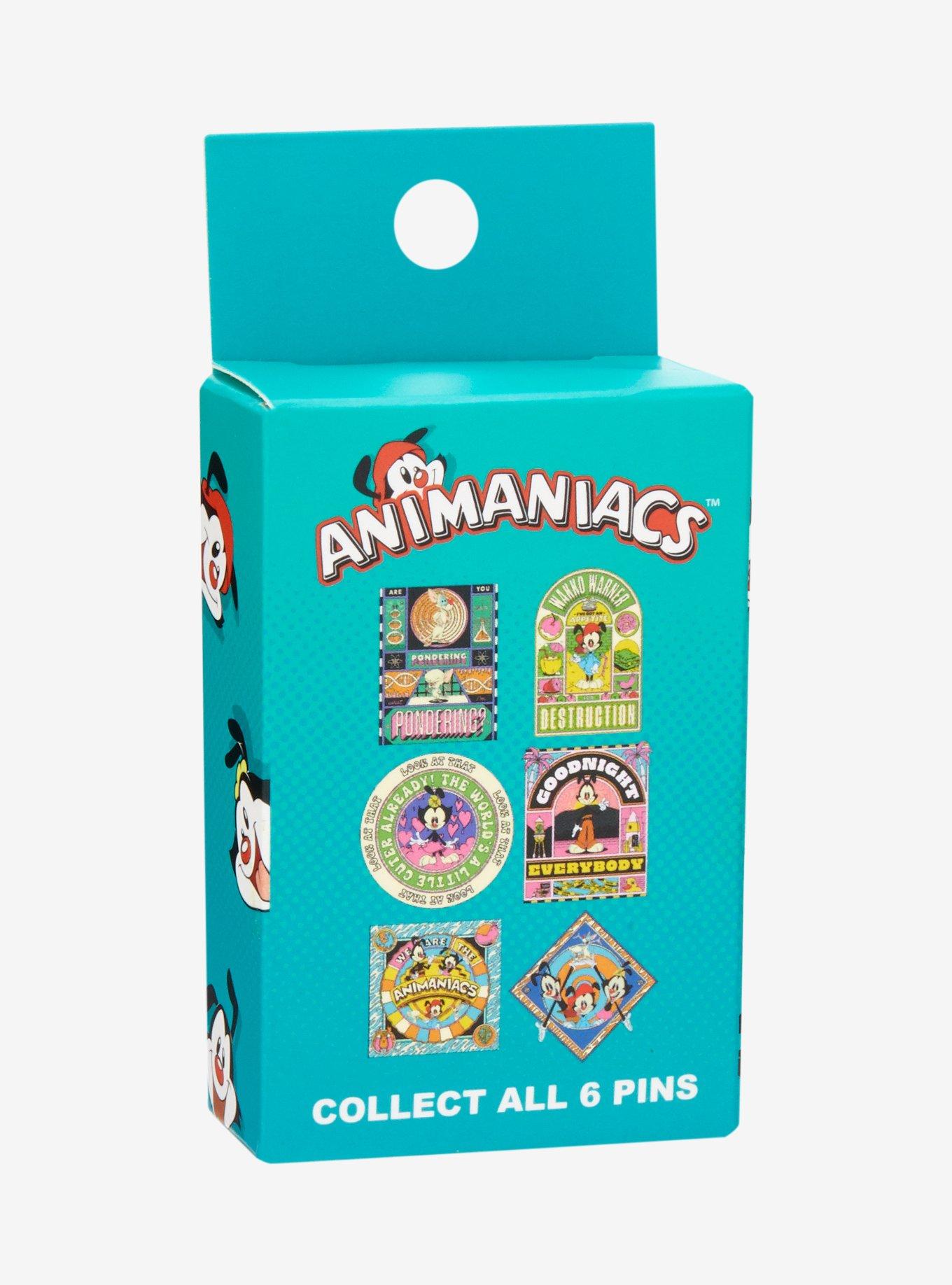 Animaniacs Blind Box Enamel Pin