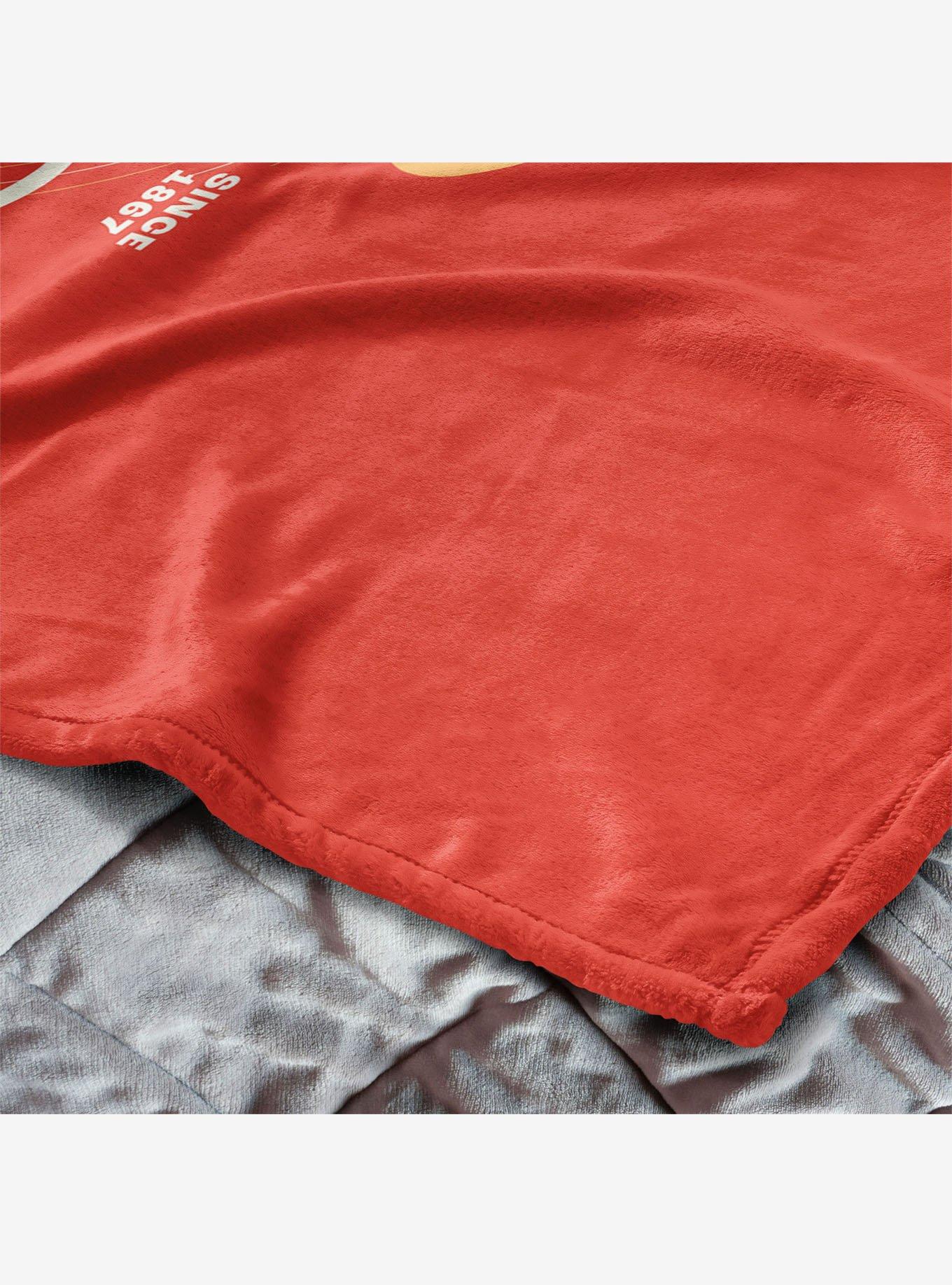 Harry Potter Leaky Cauldron 40x50" Silk Touch Throw Blanket, , alternate