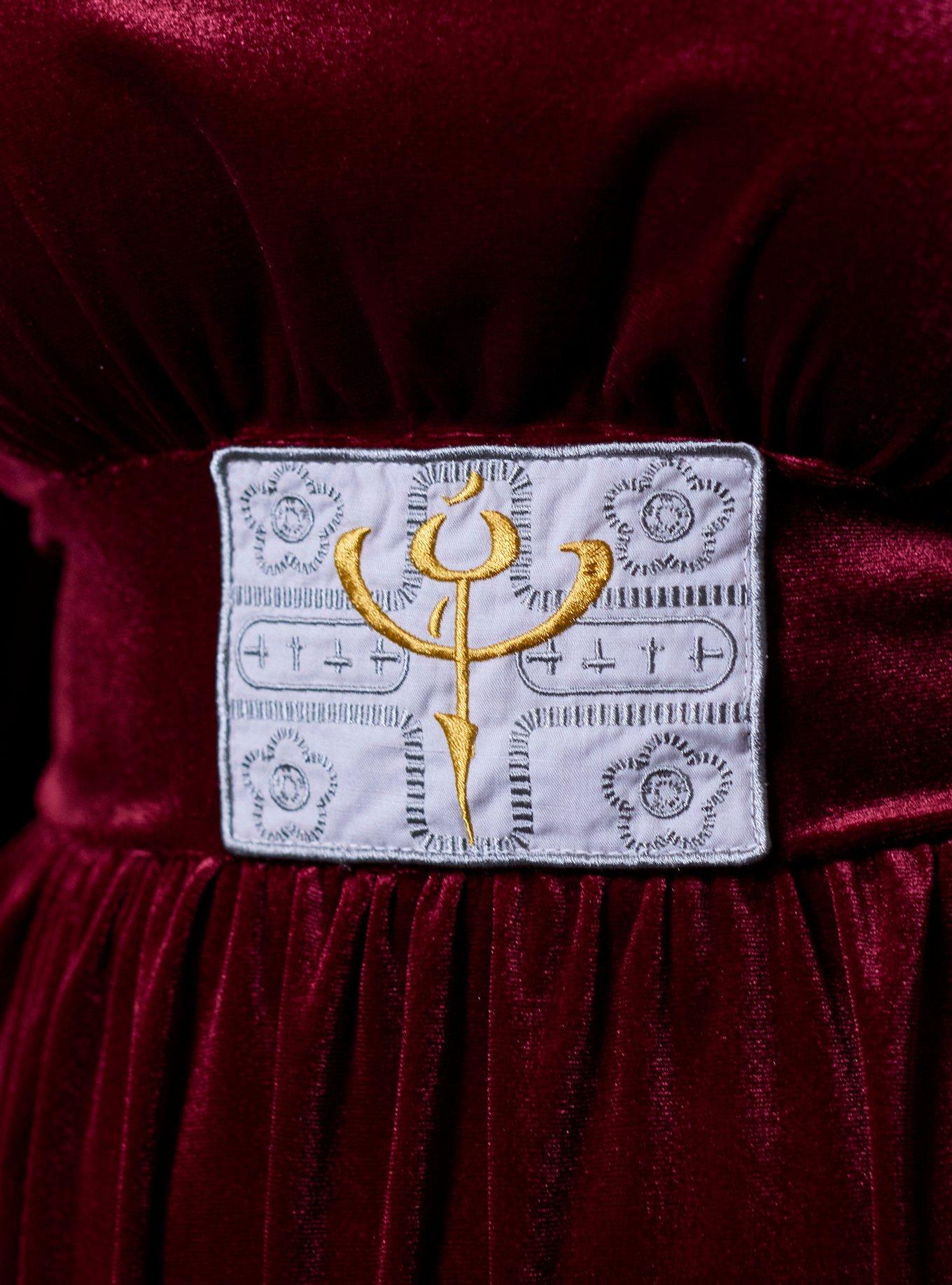 Her Universe Star Wars Padmé Velvet Bishop Sleeve Dress Plus Size Her Universe Exclusive, BURGUNDY, alternate