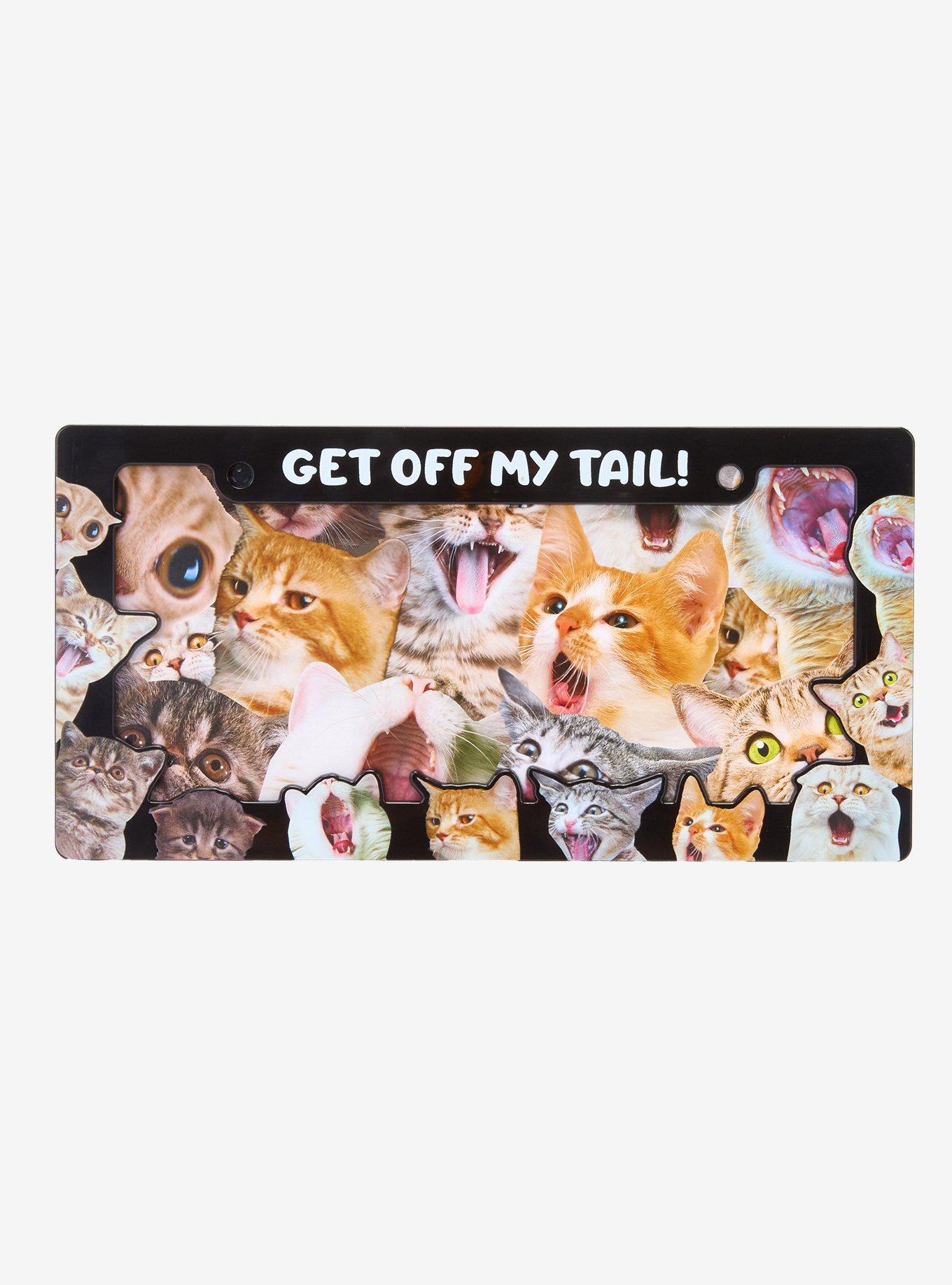 Stressed Cats License Plate Frame, , hi-res