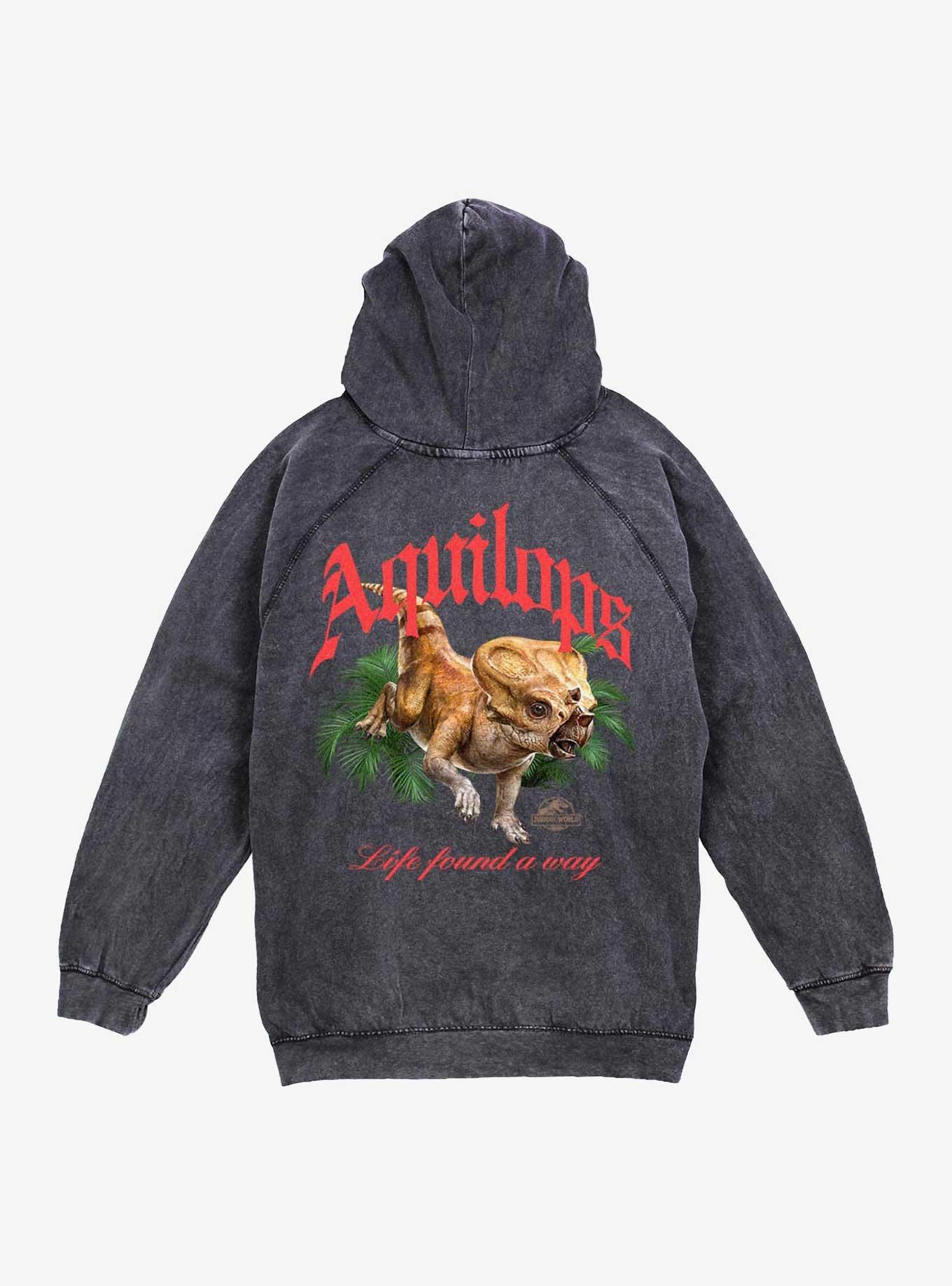 Jurassic Park Life Found A Way Aquilops Mineral Wash Hoodie Hot Topic Web Exclusive, BLACK, alternate