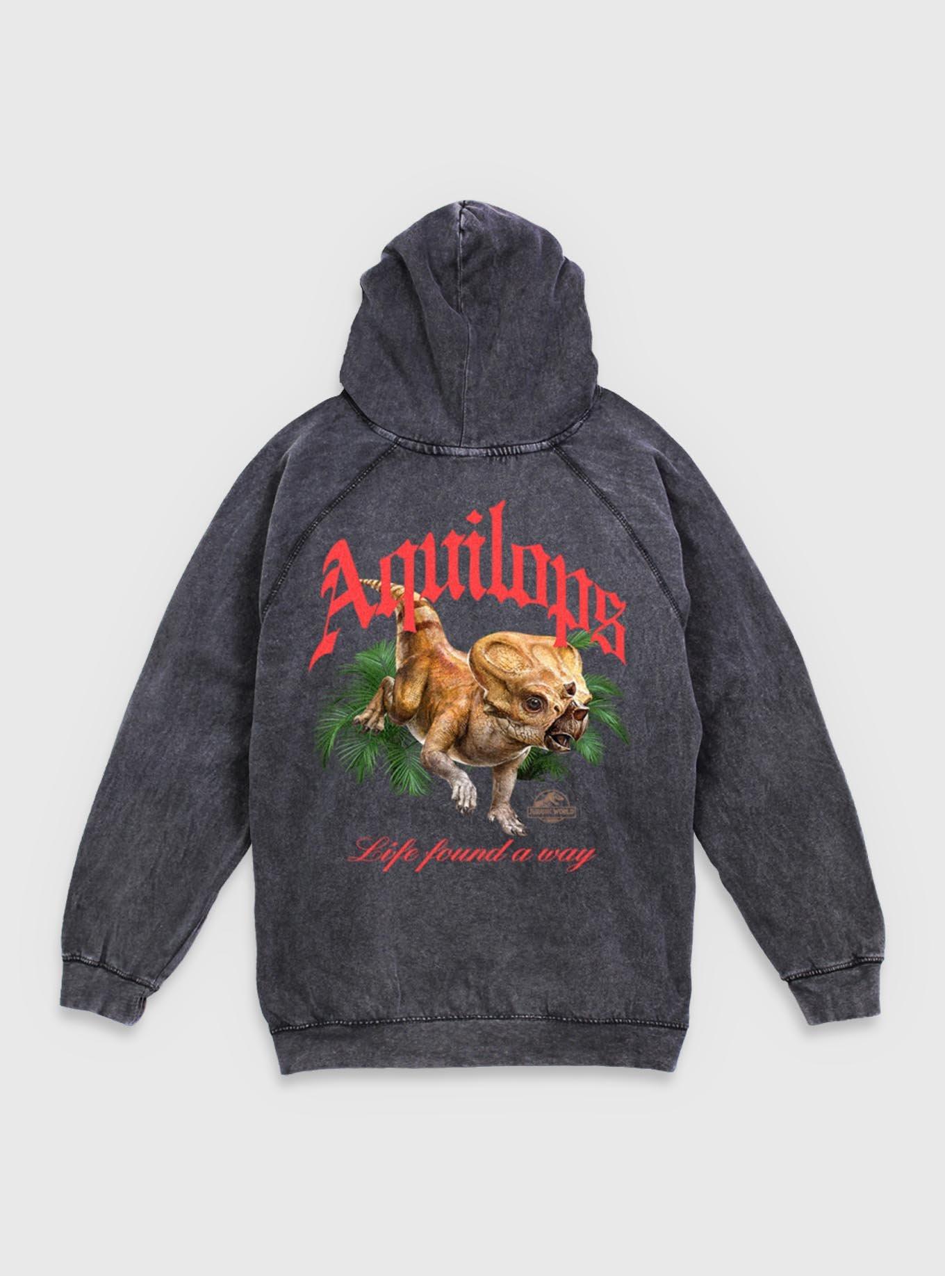 Jurassic Park Life Found A Way Aquilops Mineral Wash Hoodie BoxLunch Exclusive, , hi-res
