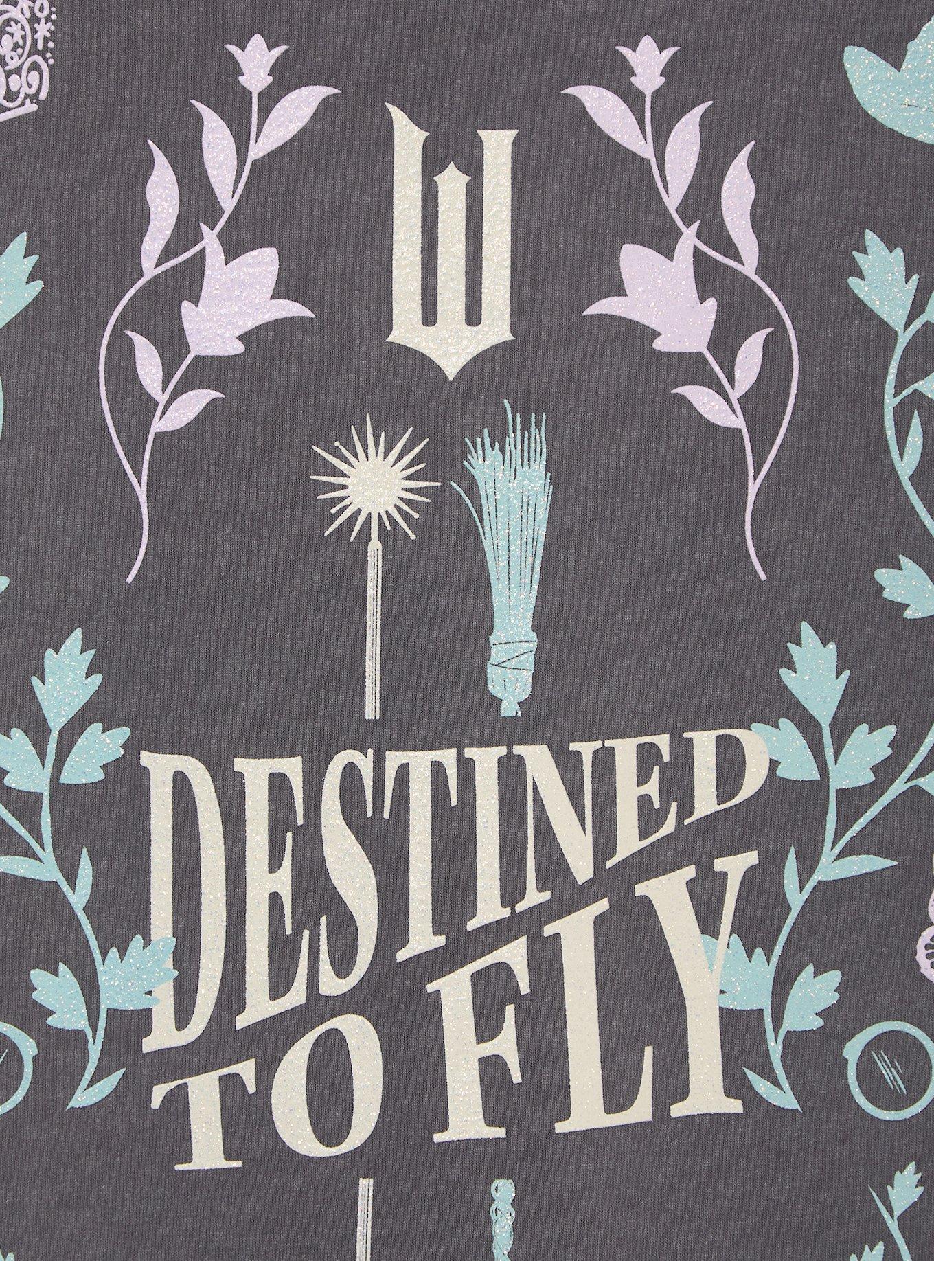 Wicked Destined to Fly Women's T-Shirt - BoxLunch Exclusive, CHARCOAL, alternate