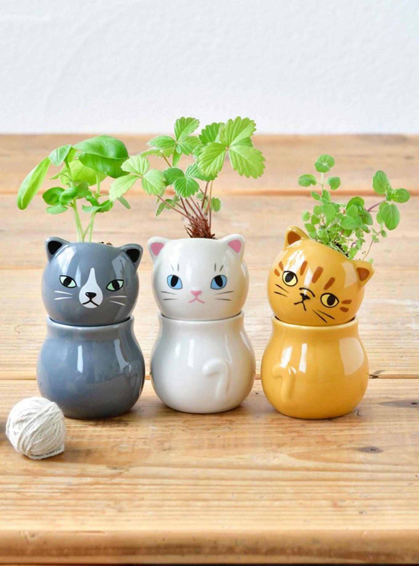 Seishin Coro Coro Cat Wild Blind Assorted Planter, , hi-res