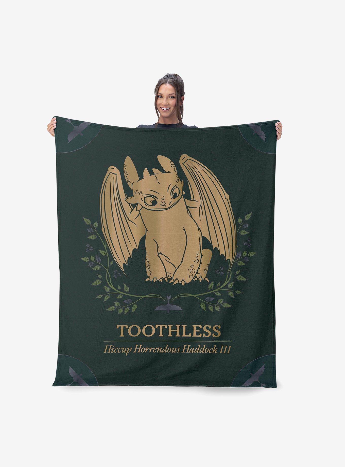 How to Train Your Dragon Hiccup and Toothless 60x80" Silk Touch Throw Blanket, , hi-res