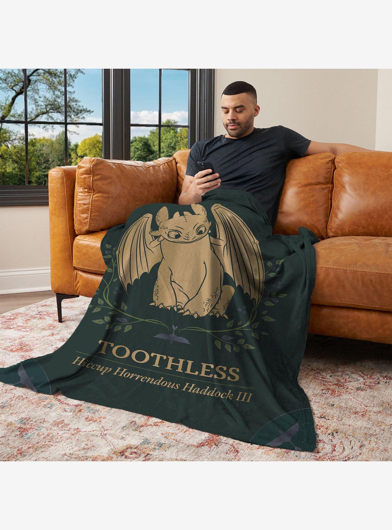 How to Train Your Dragon Hiccup and Toothless 60x80" Silk Touch Throw Blanket, , alternate