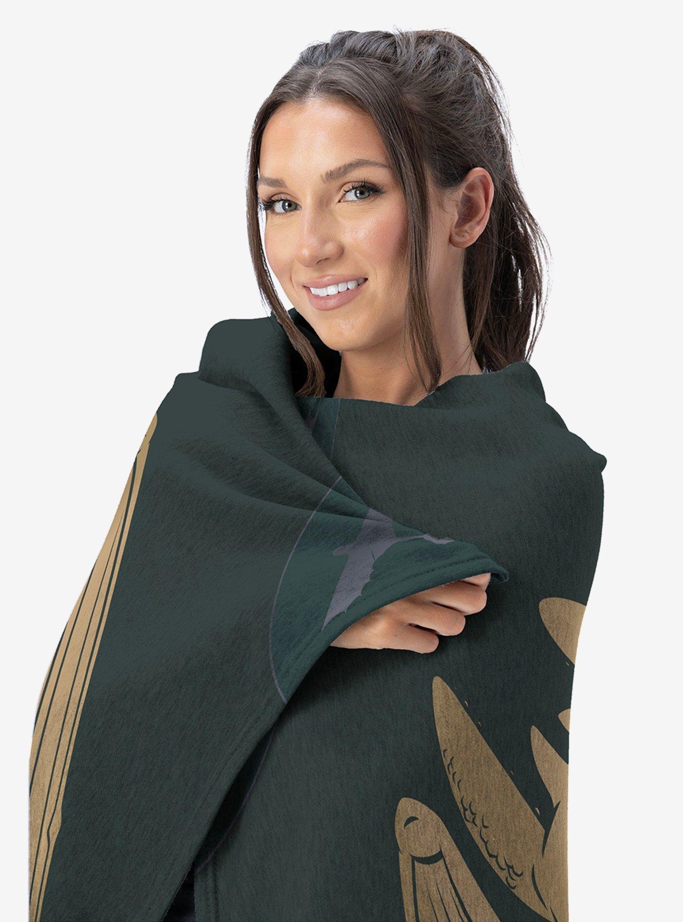 How to Train Your Dragon Hiccup and Toothless 60x80" Silk Touch Throw Blanket, , alternate