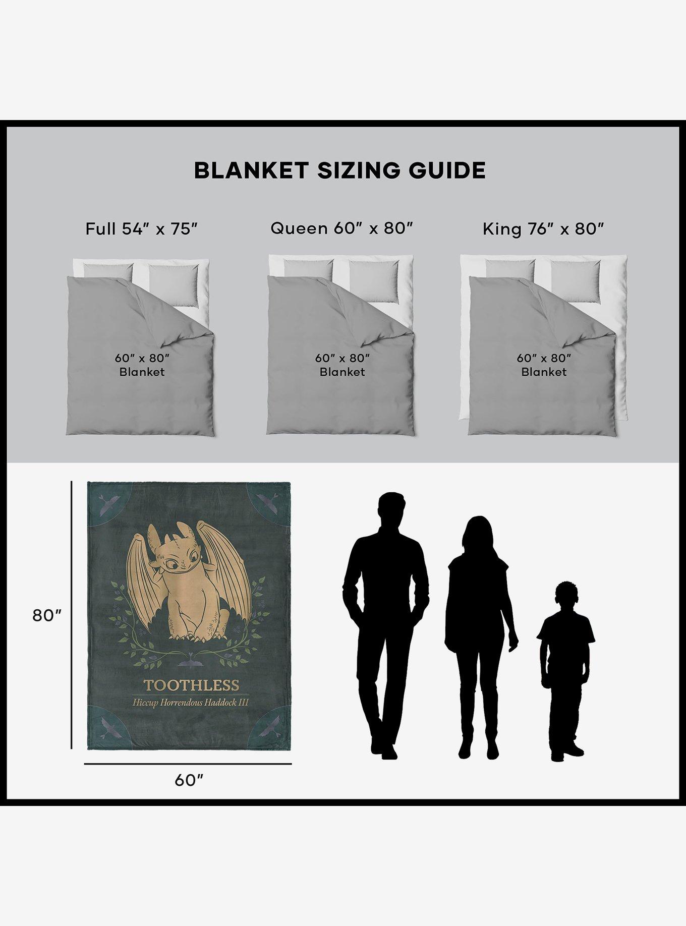 How to Train Your Dragon Hiccup and Toothless 60x80" Silk Touch Throw Blanket, , alternate