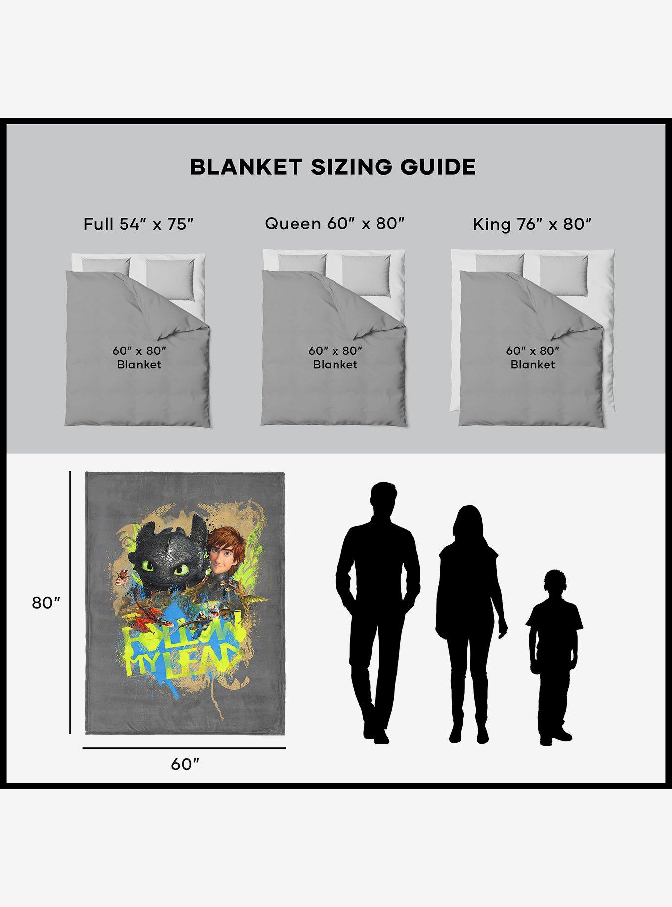 How to Train Your Dragon Follow My Lead 60x80" Silk Touch Throw Blanket, , alternate