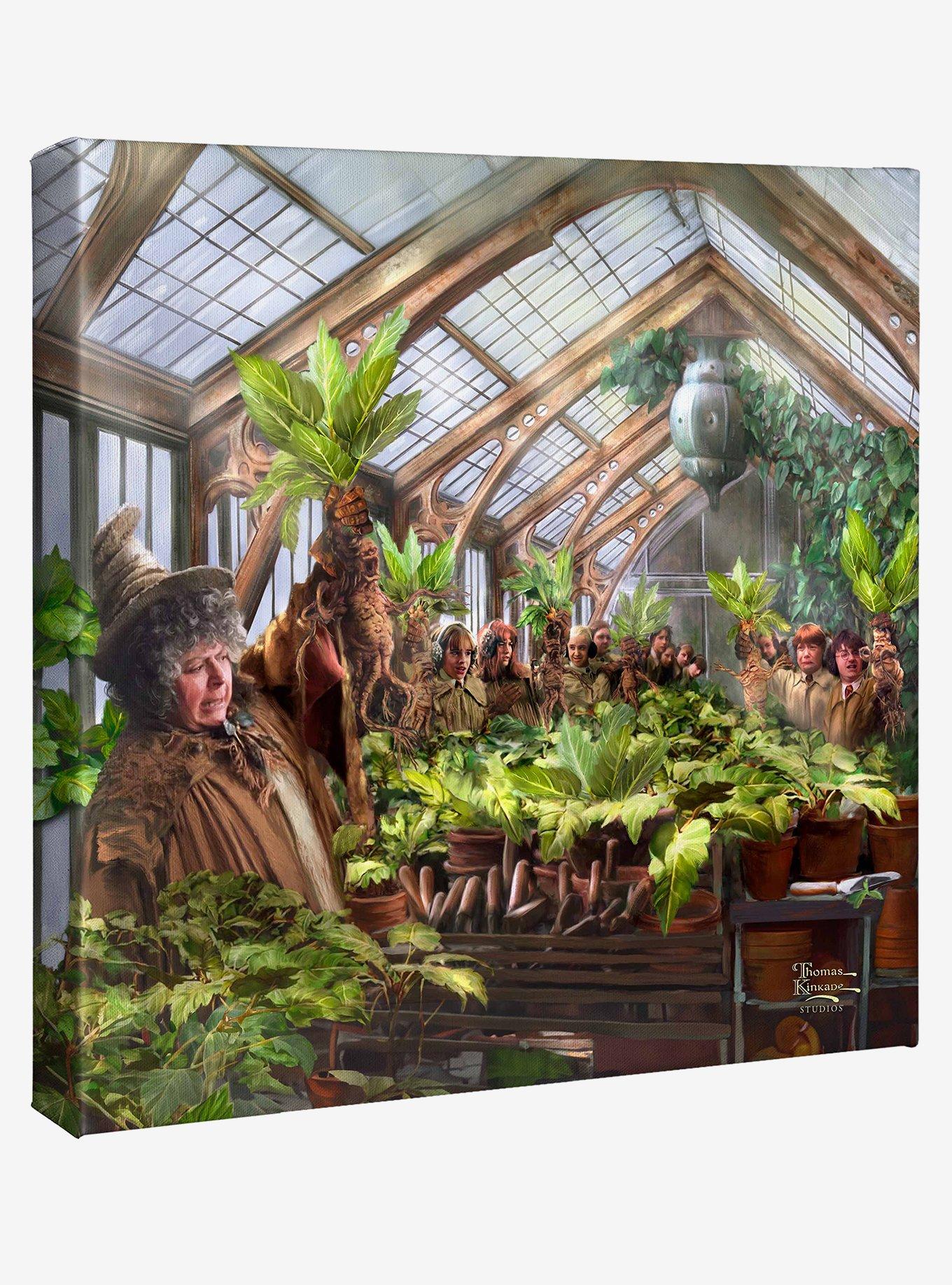 Harry Potter Hogwarts Greenhouse Gallery Wrapped Canvas, , hi-res