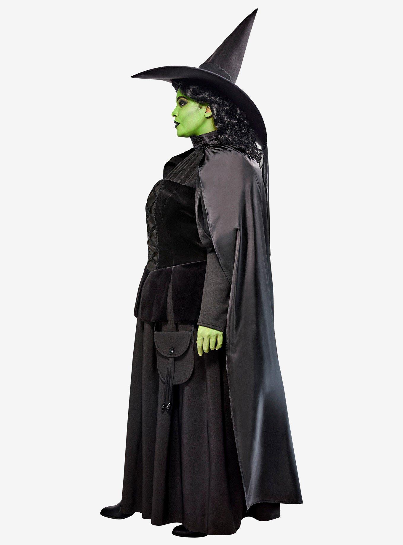 The Wizard of Oz Wicked Witch Plus Size Costume, BLACK, alternate