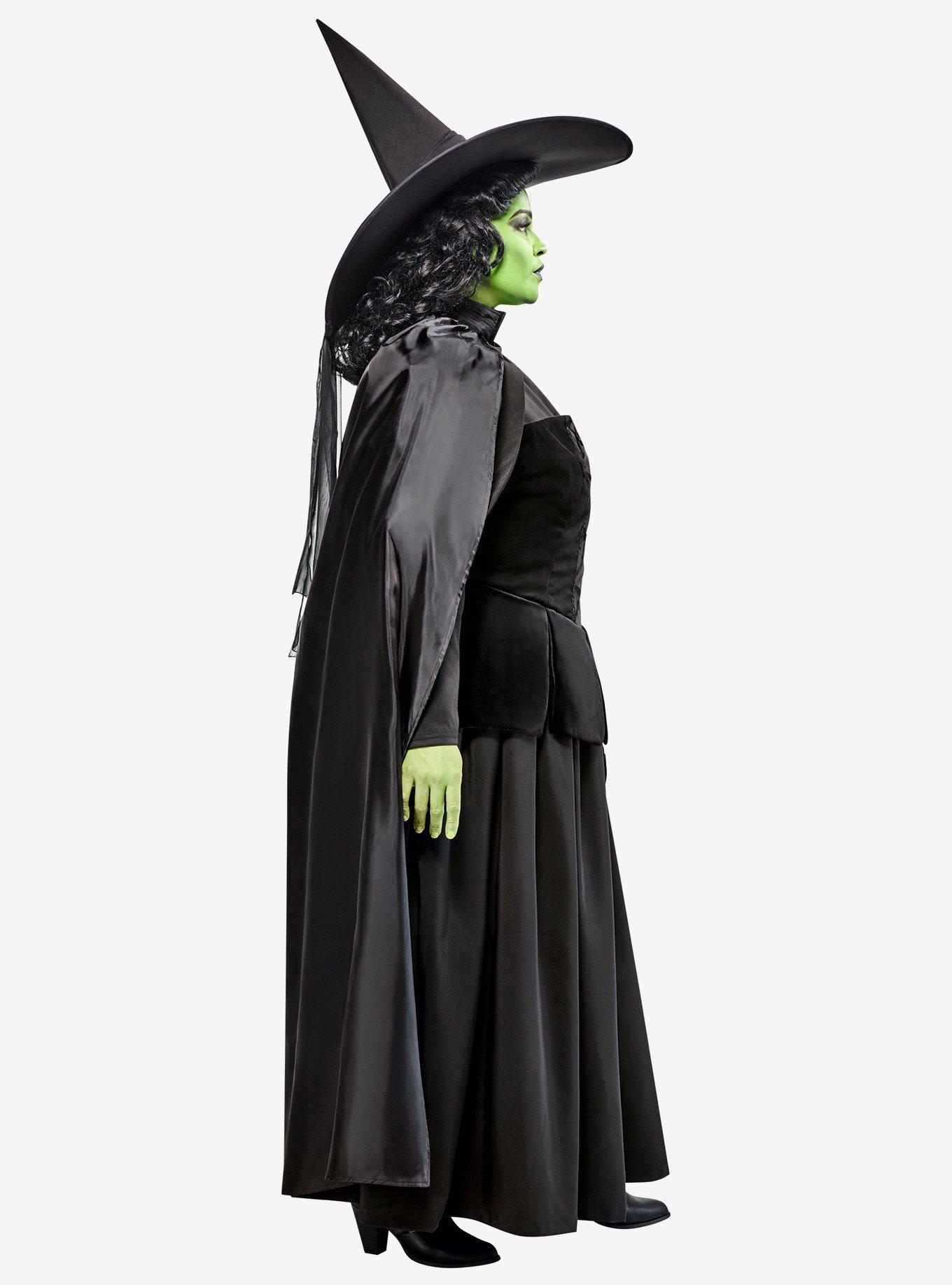 The Wizard of Oz Wicked Witch Plus Size Costume, , hi-res