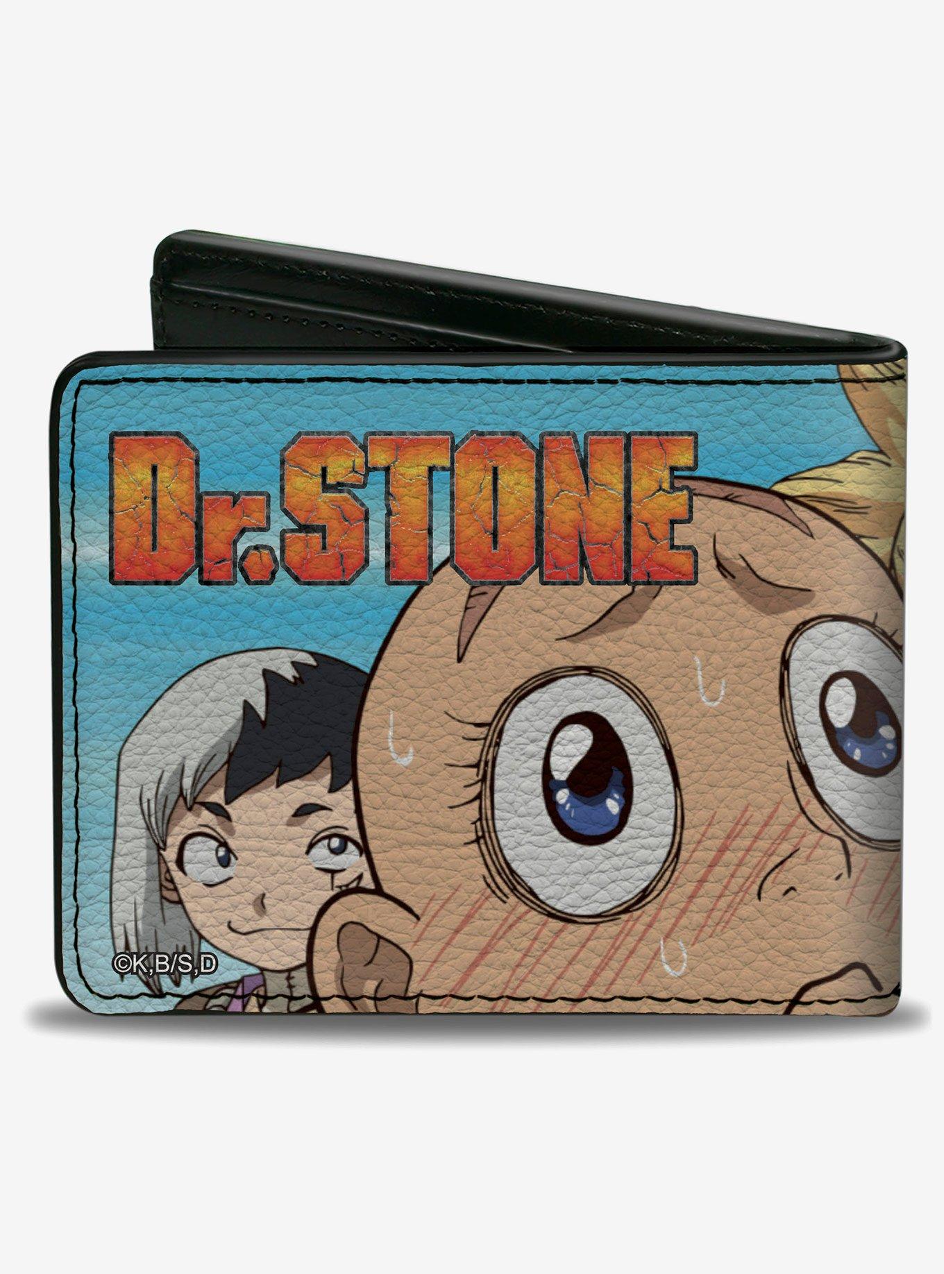 Dr. Stone Four Chibi Charater Group Pose Sky Bifold Wallet, , hi-res