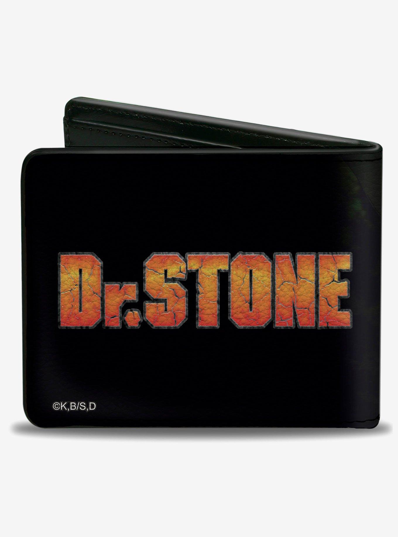 Dr. Stone Senku Ishigami Ray of Despair Hope Pose Logo Bifold Wallet, , hi-res