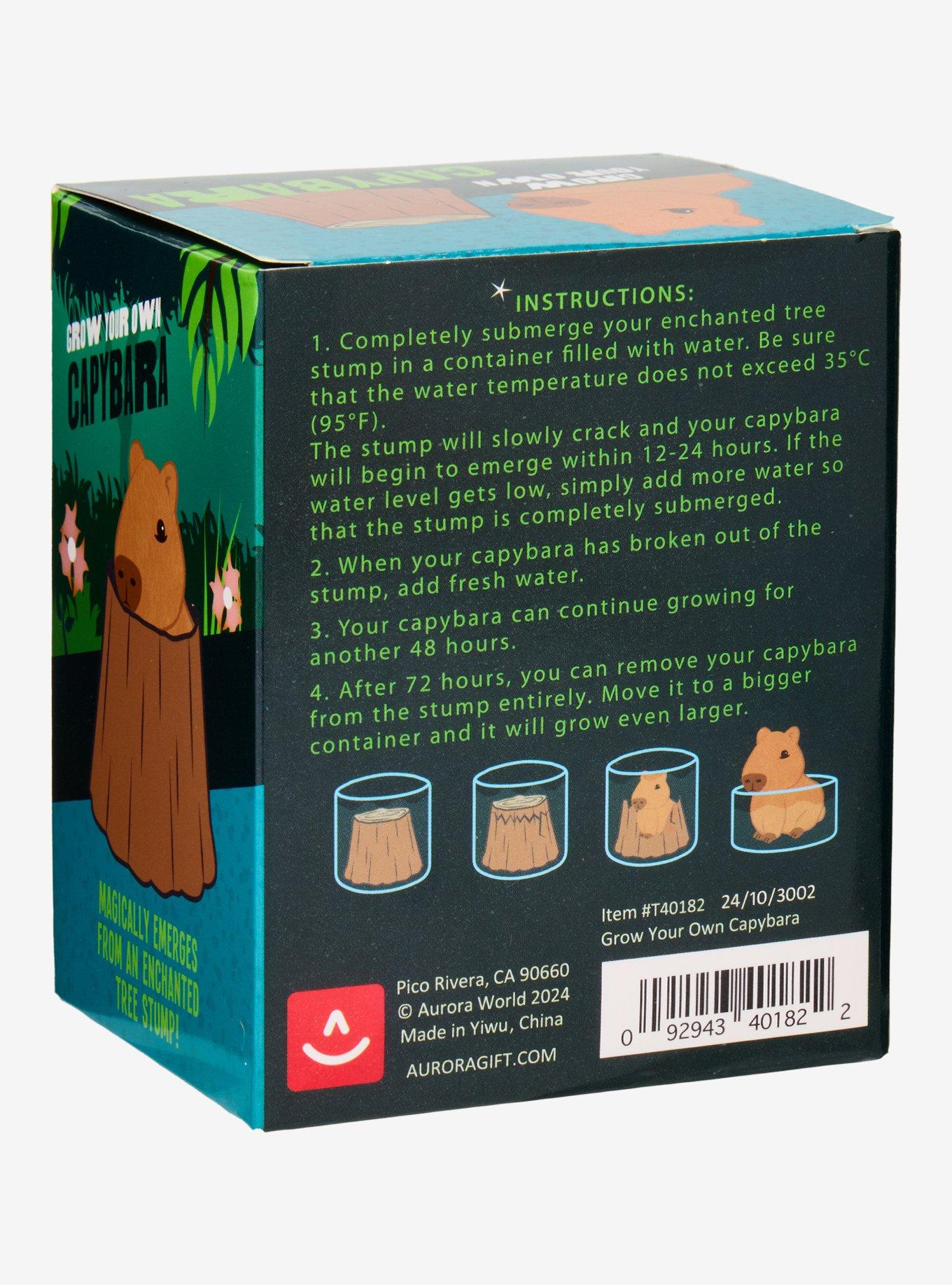 Grow Your Own Capybara Toy, , hi-res