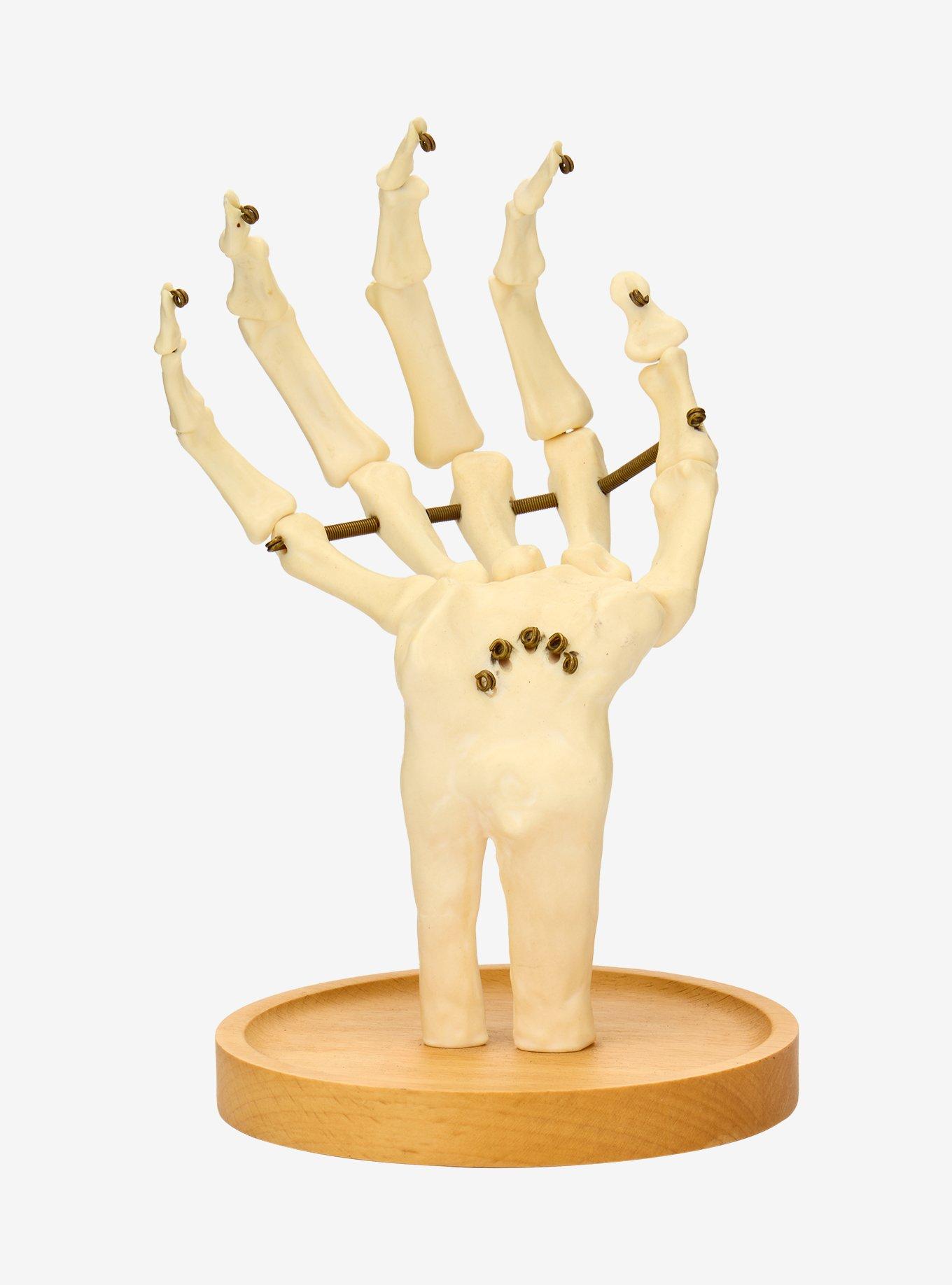 Skeleton Hand Jewelry Holder, , hi-res