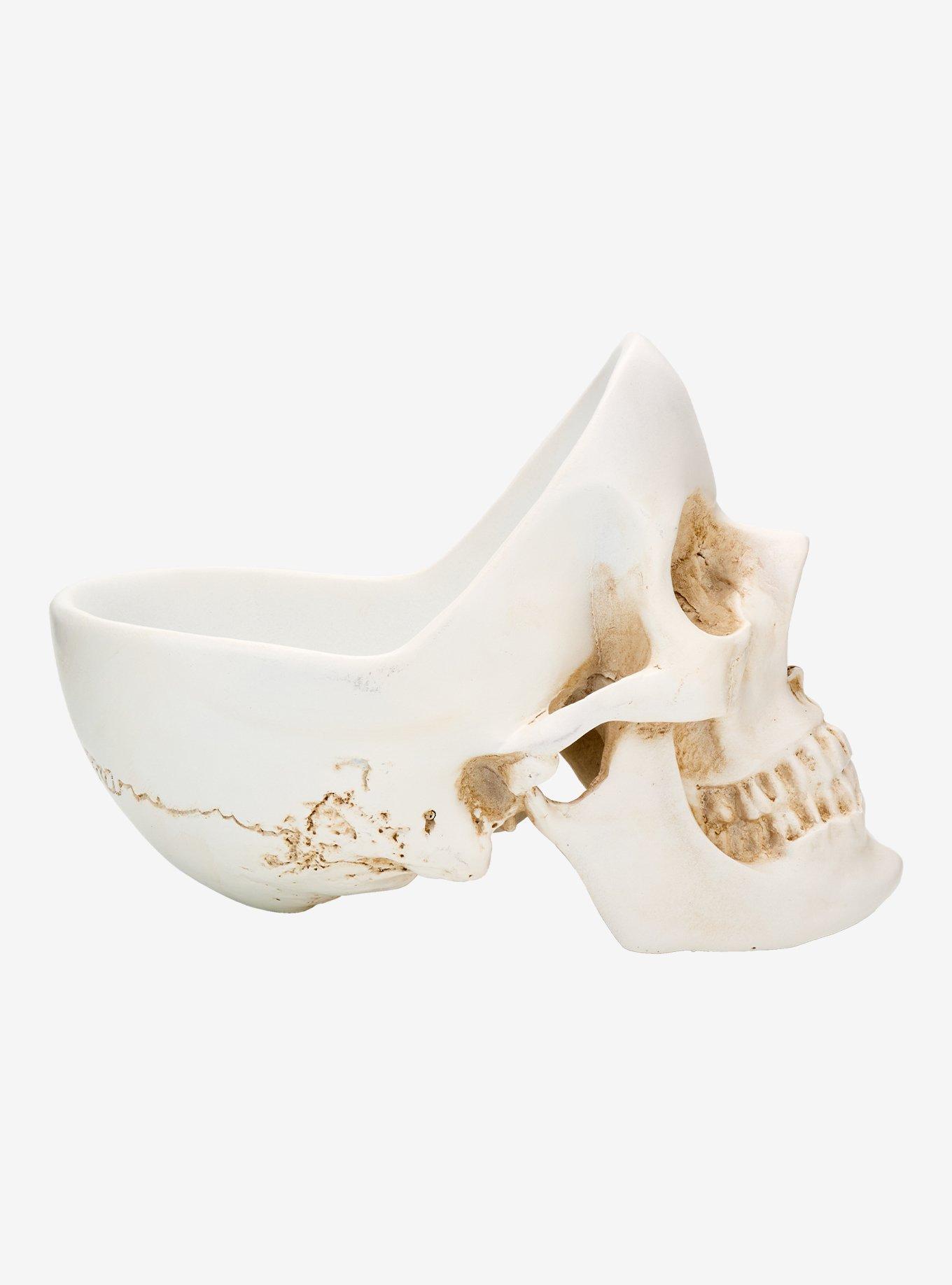 Skull Trinket Bowl, , hi-res