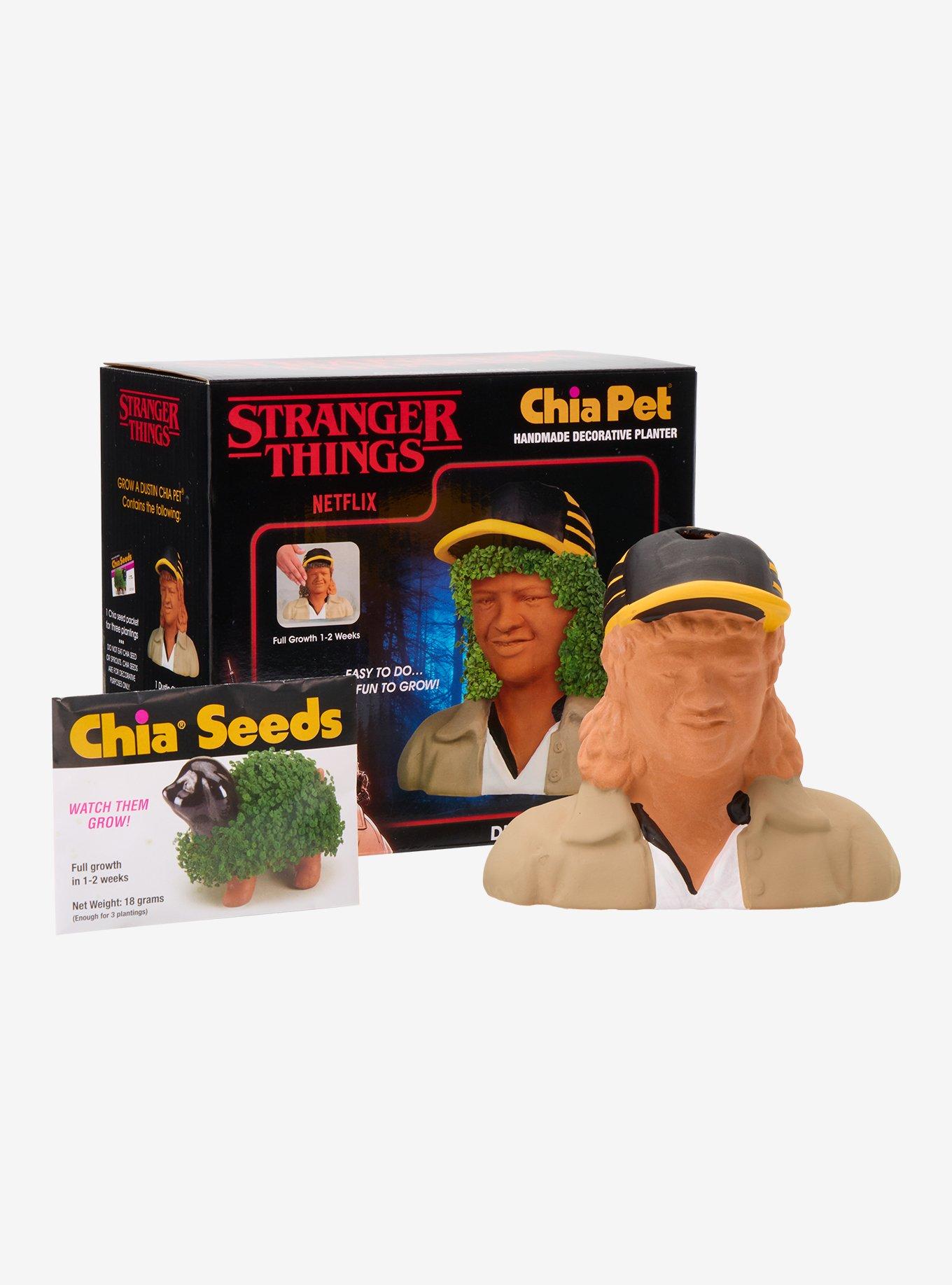 Stranger Things Dustin Henderson Chia Pet, , hi-res