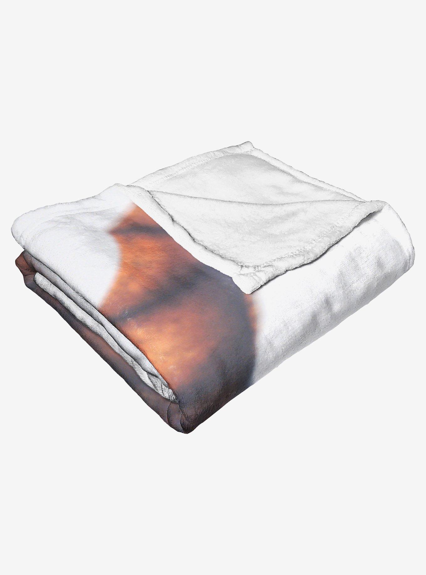 Game Of Thrones Dragon Tamer Silk Touch Throw Blanket, , alternate