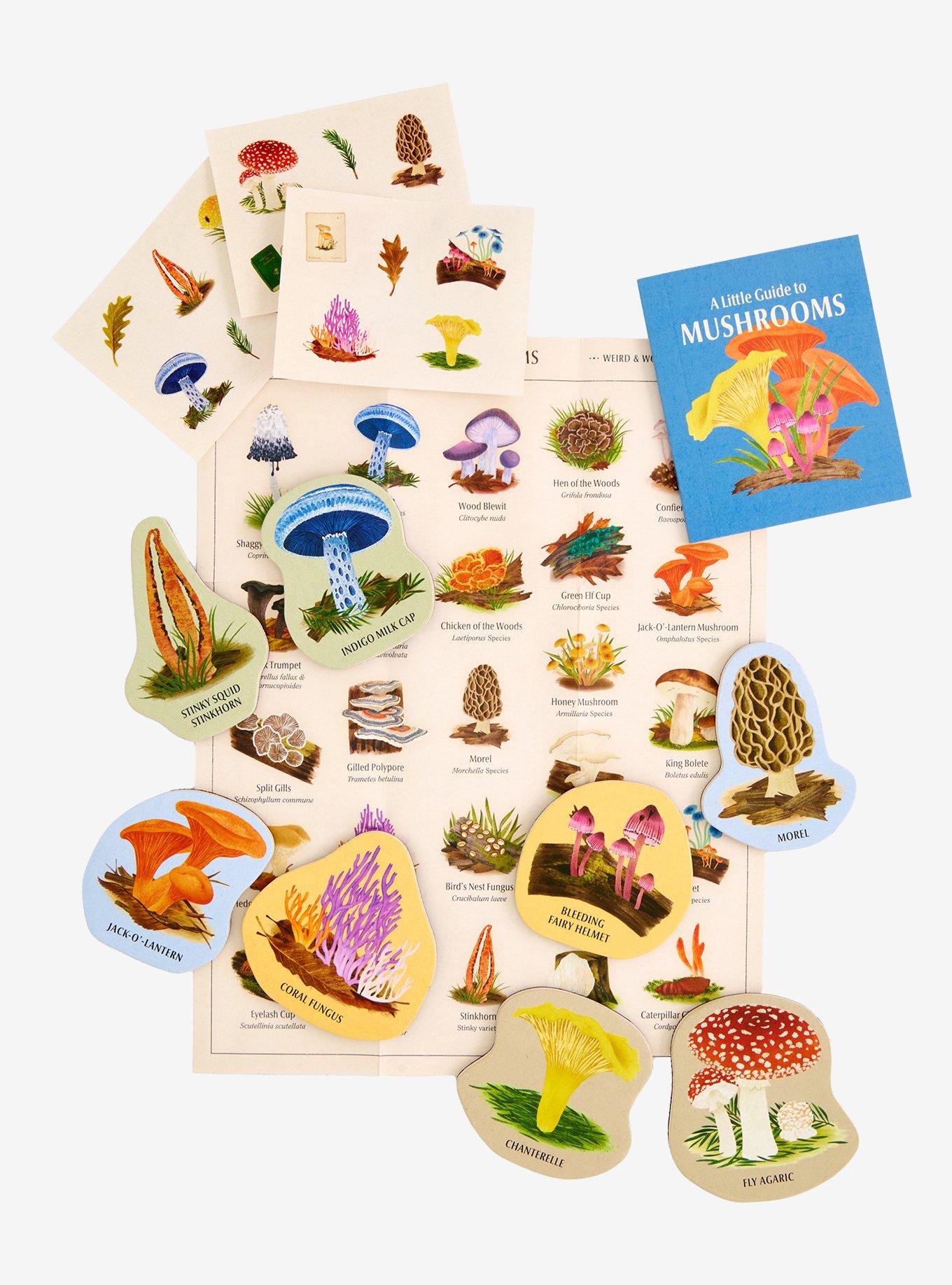 Mushrooms Wooden Magnet Set, , hi-res