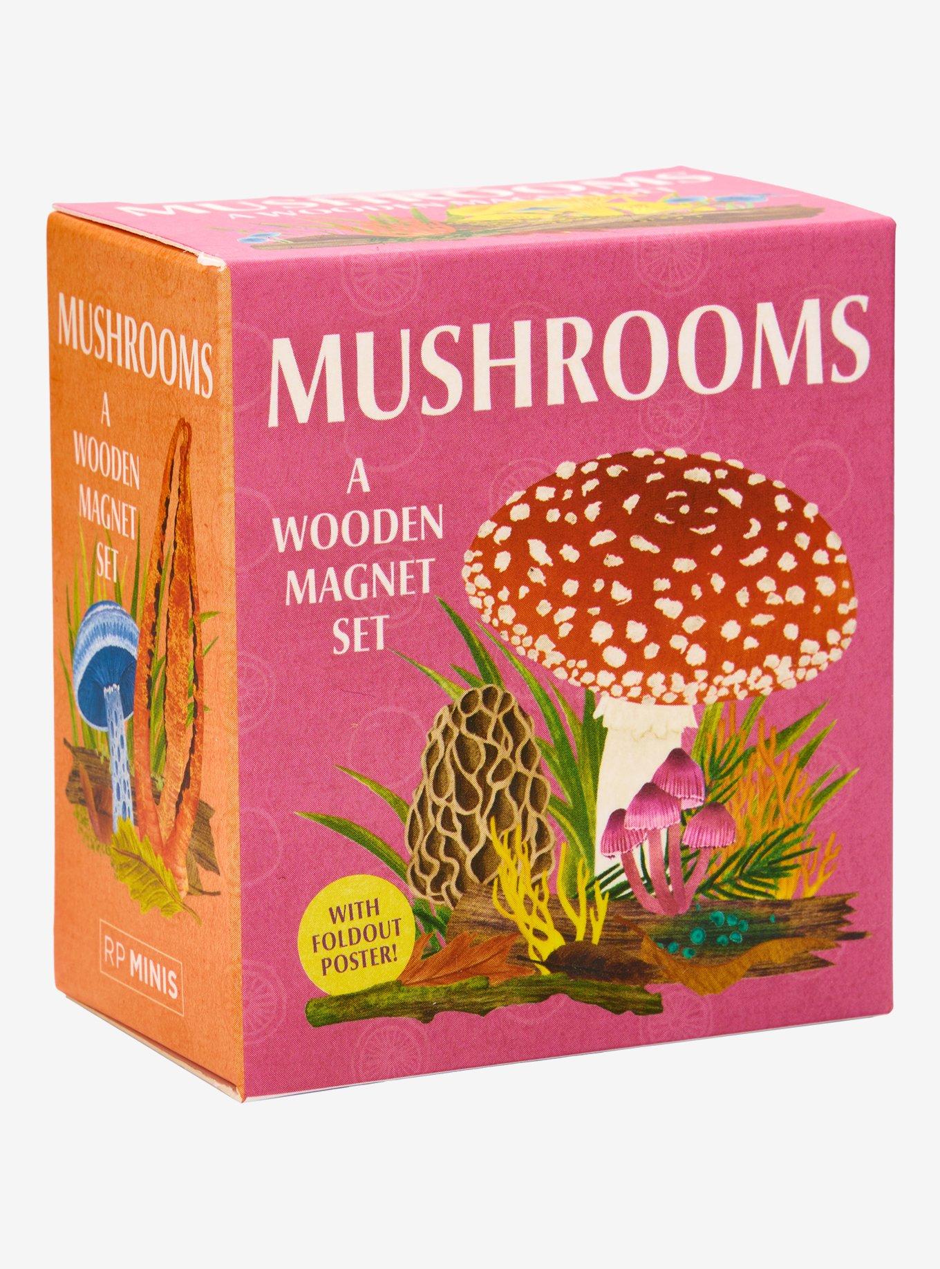 Mushrooms Wooden Magnet Set, , alternate