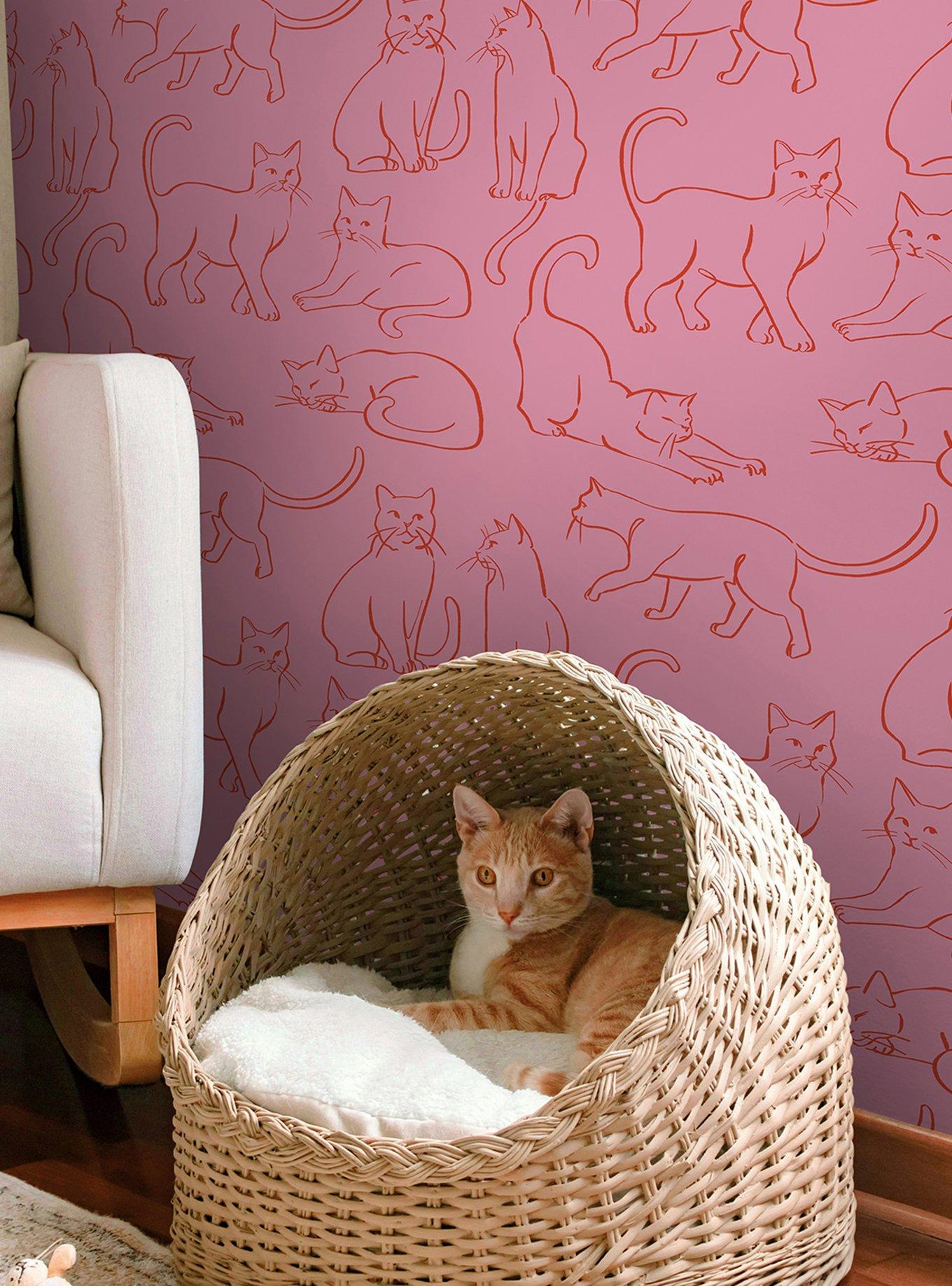 Cat Poses Pink Wallpaper, , alternate