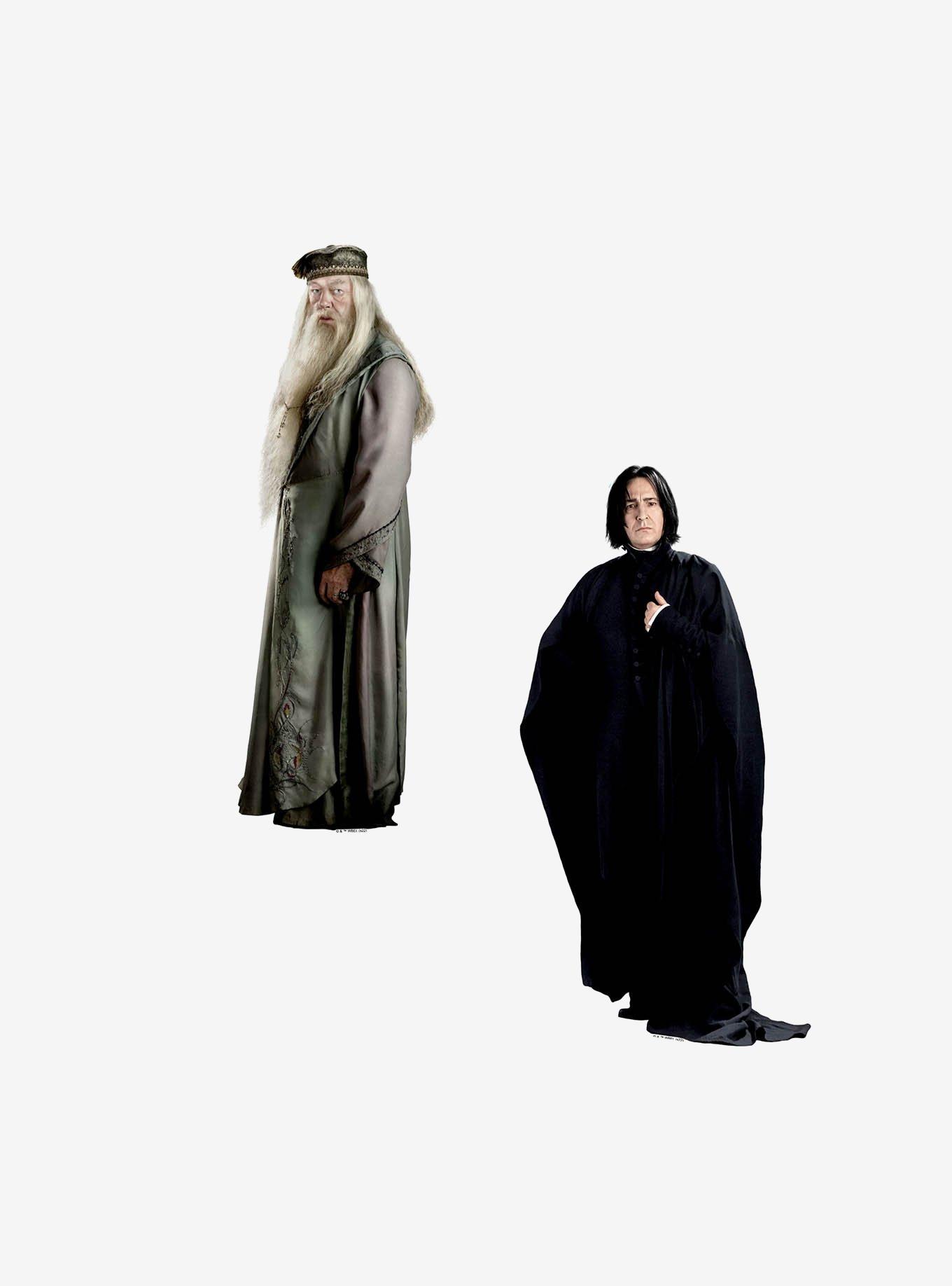 Harry Potter Hero Photos Miscellaneous 100ct Sticker Pack, , alternate