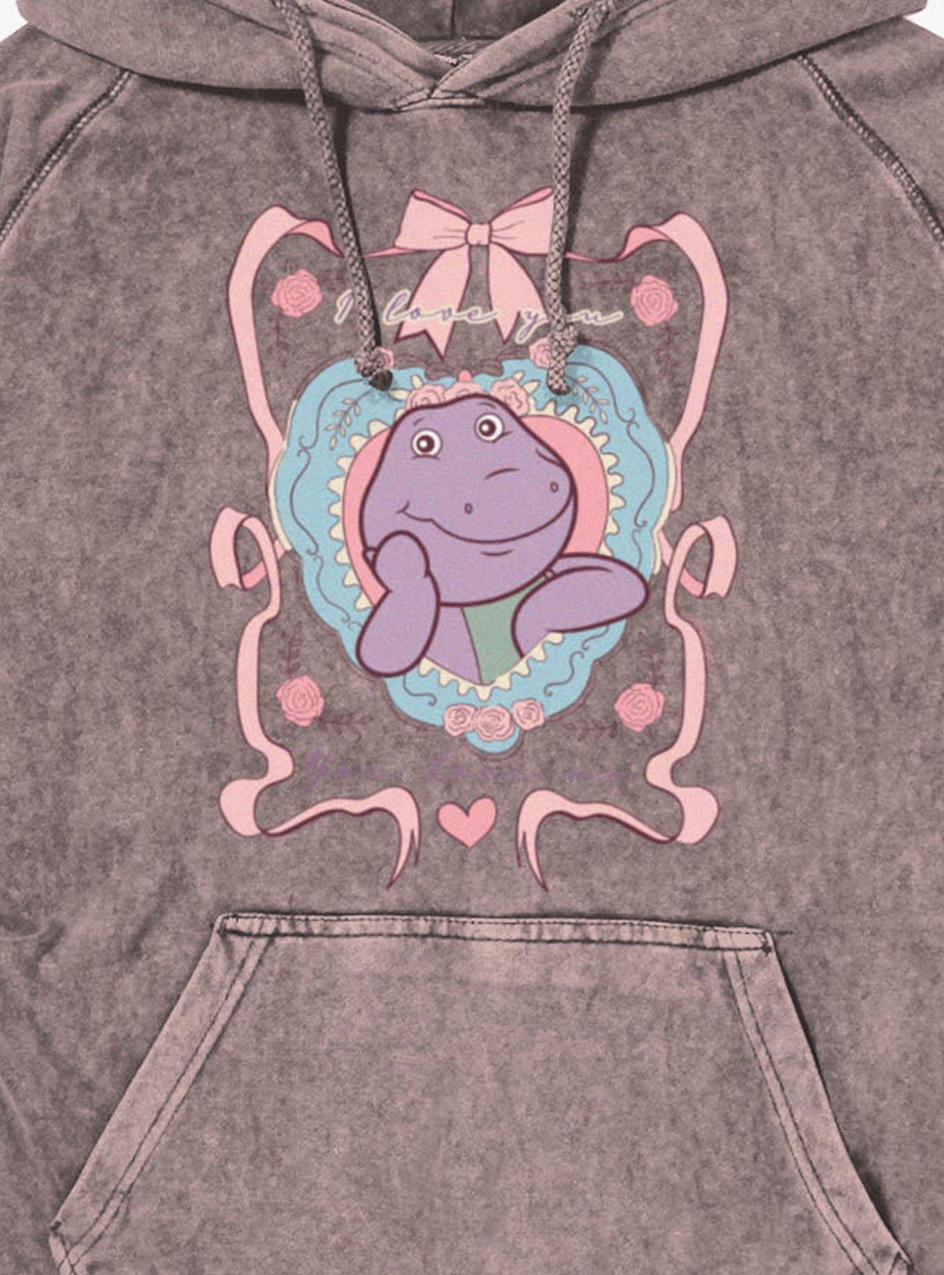 Barney I Love You Ribbons And Bows Hoodie, , hi-res