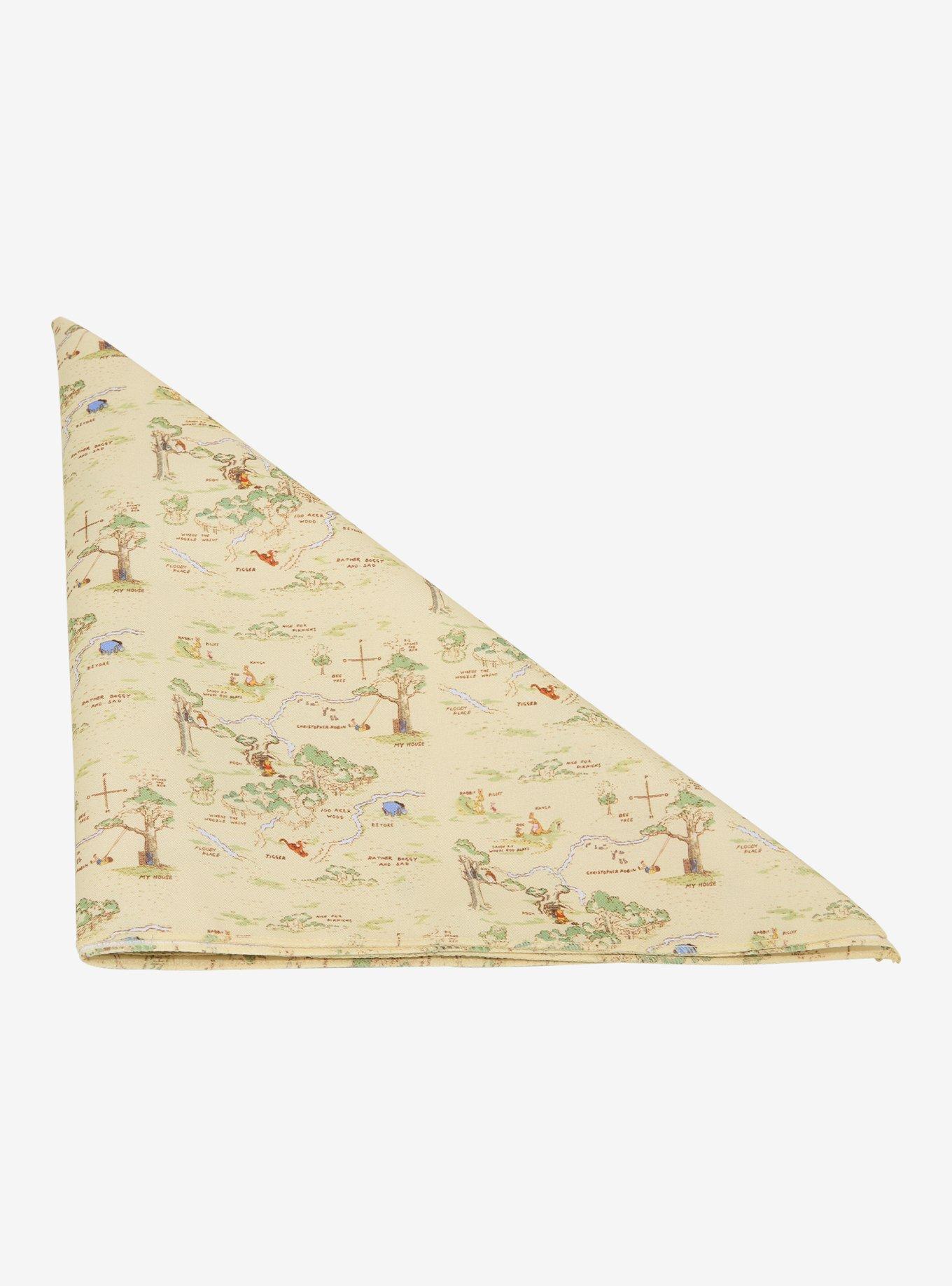 Disney Winnie the Pooh Hundred Acre Wood Map Bandana - BoxLunch Exclusive, , hi-res