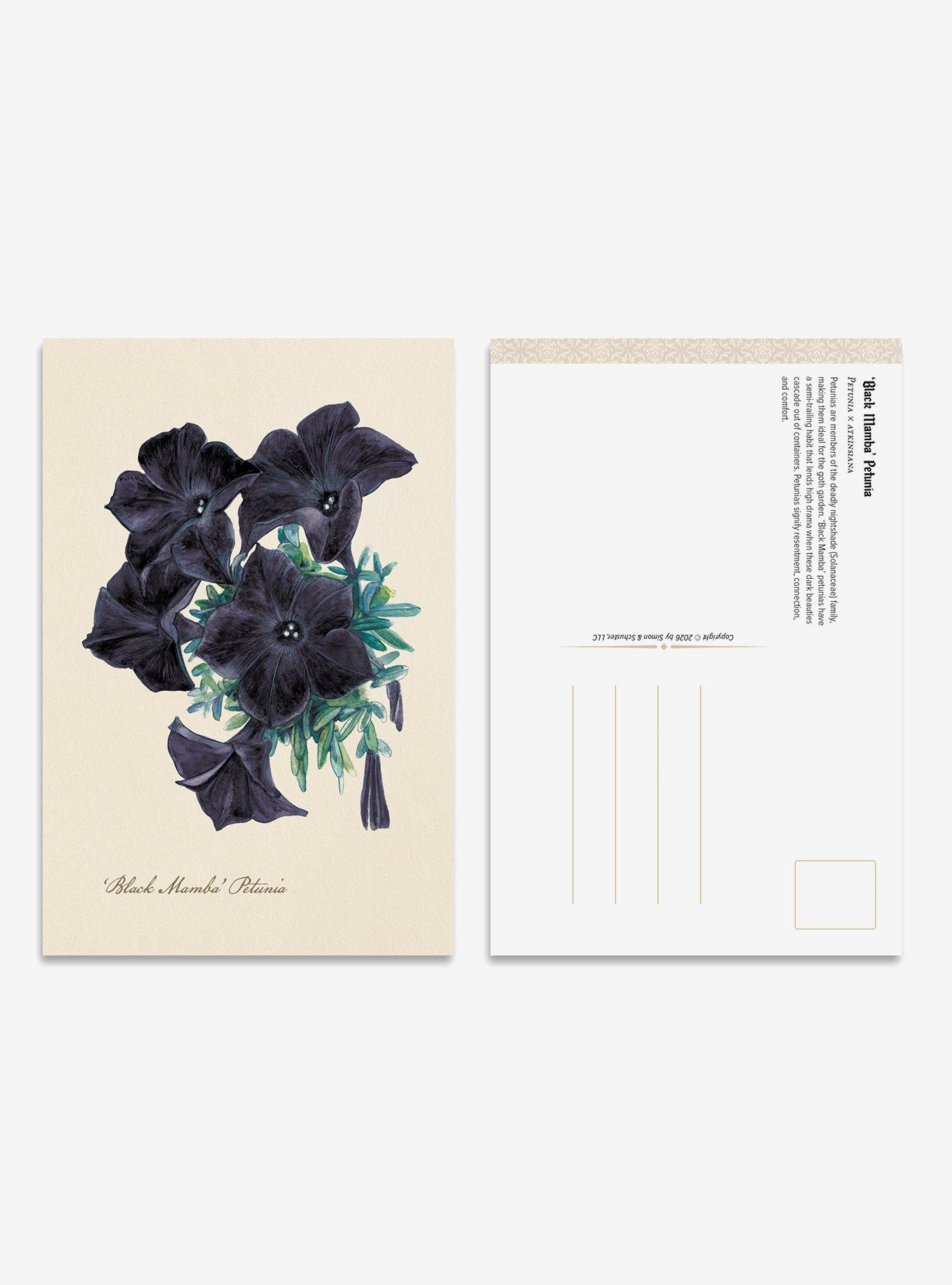 The Goth Garden Dark Blooms Postcard Set, , hi-res