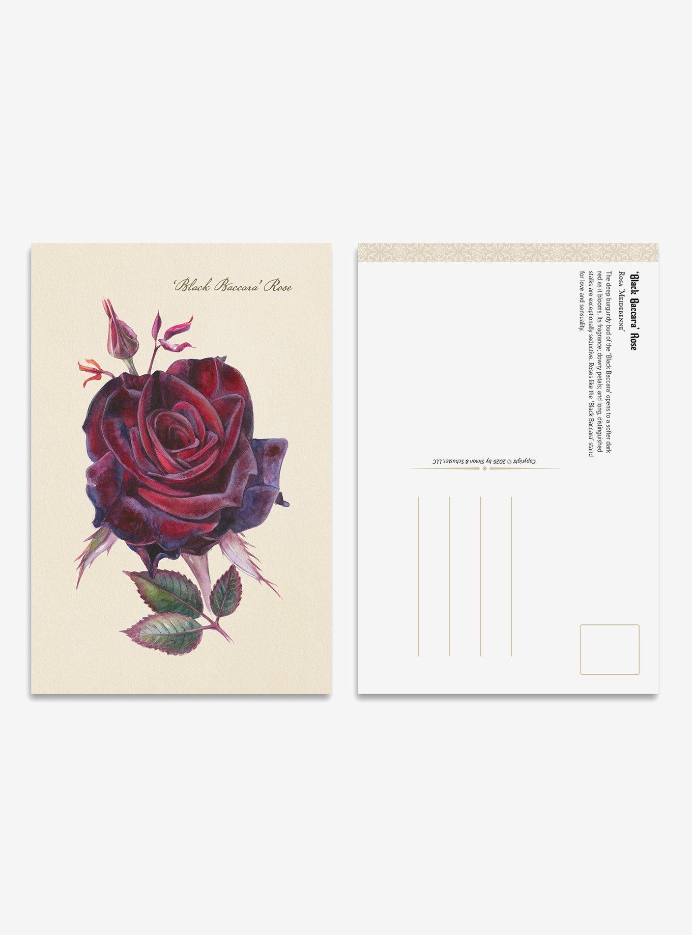 The Goth Garden Dark Blooms Postcard Set, , alternate - view 3