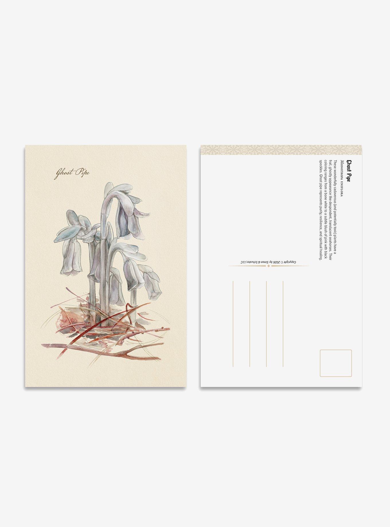 The Goth Garden Dark Blooms Postcard Set, , alternate - view 4