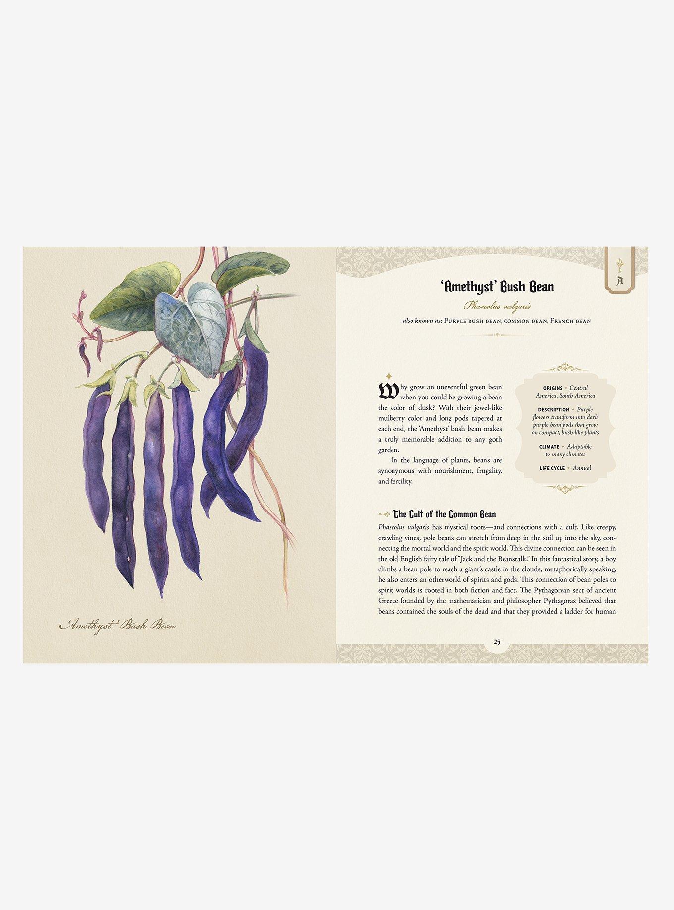 The Goth Garden: The Mystery, Beauty, And Lore Of Dark Gardening Book, , hi-res