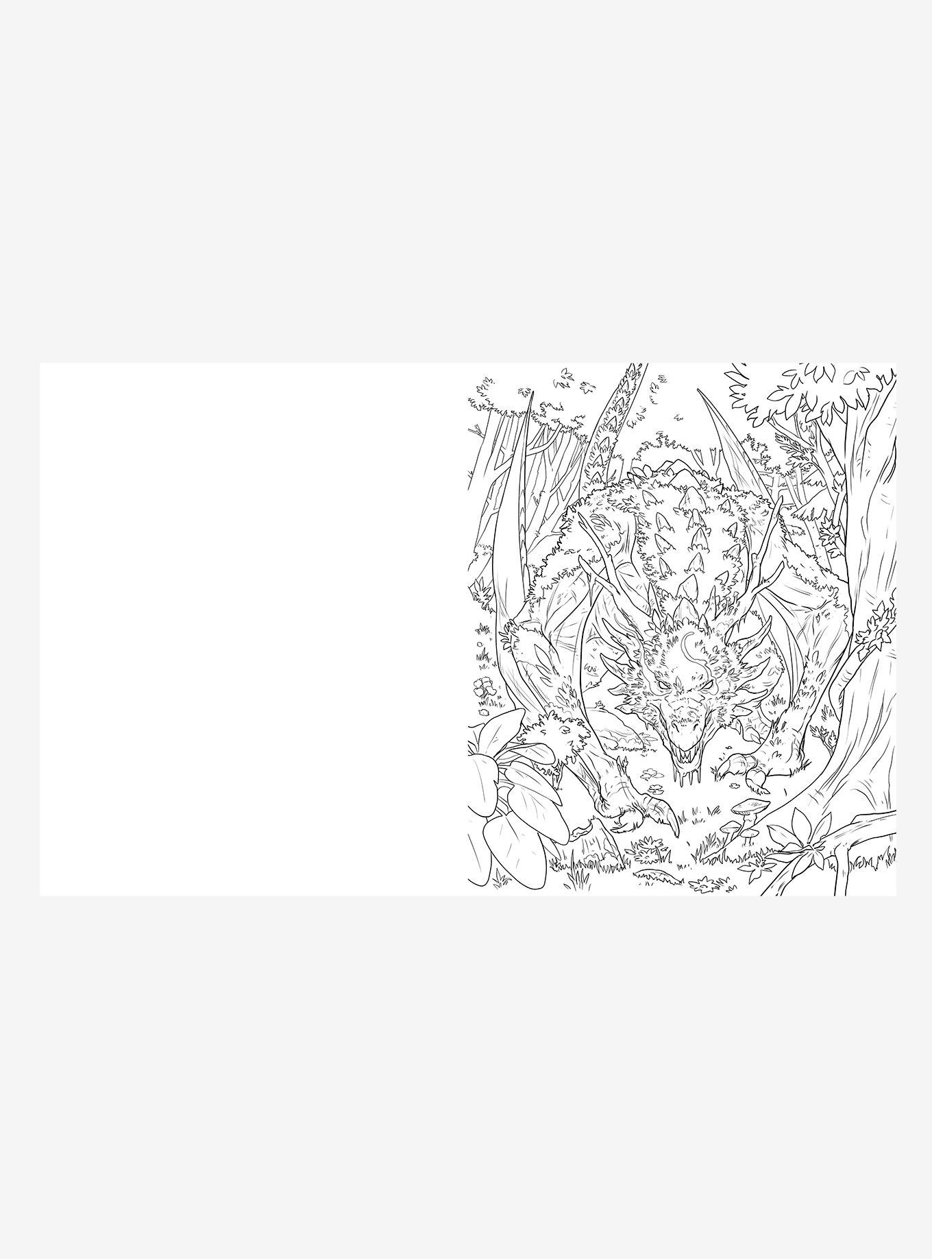 The Dragoncore Coloring Book, , alternate - view 4