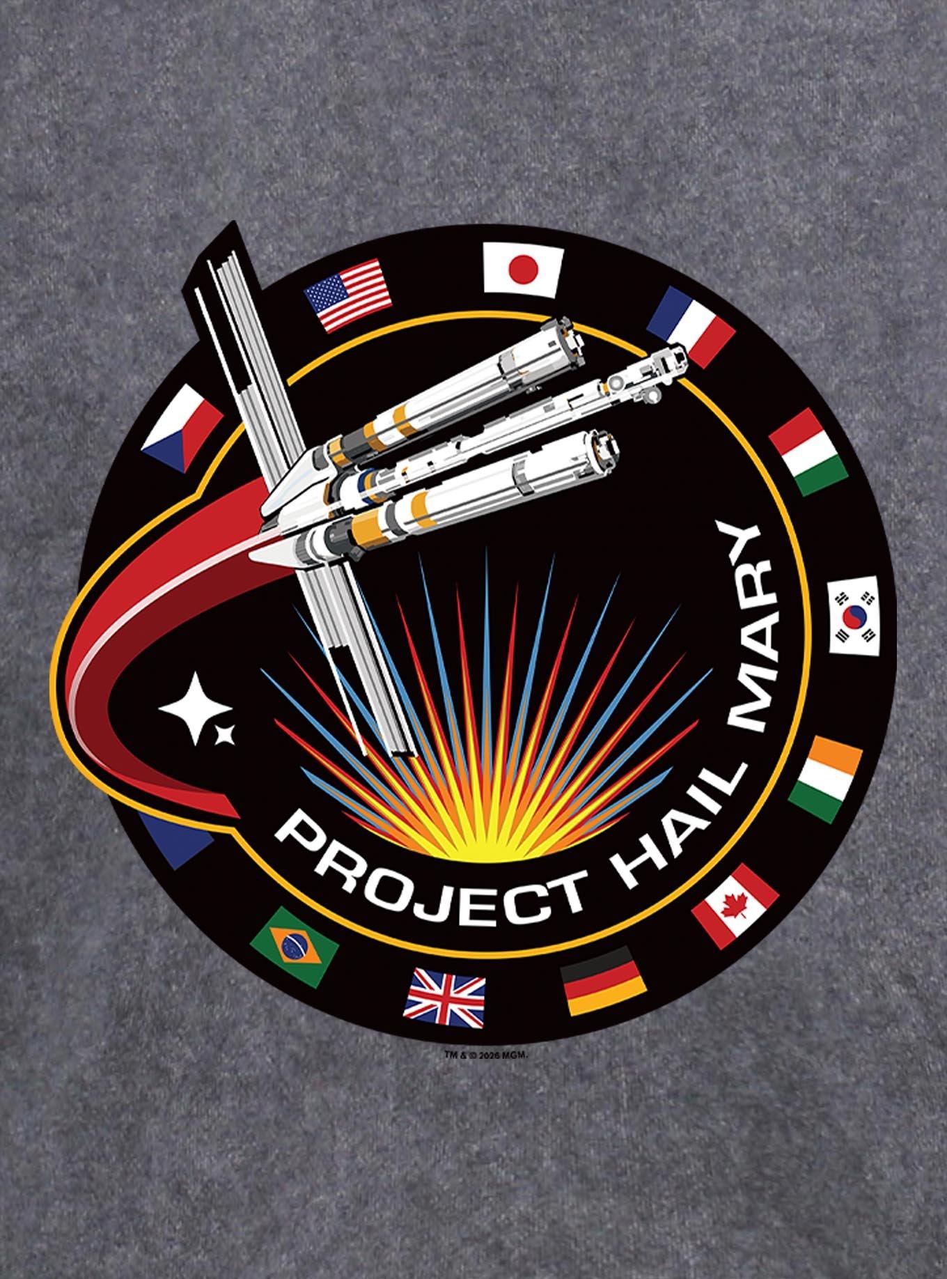 Project Hail Mary Project Patch Mineral Wash Hoodie, , hi-res