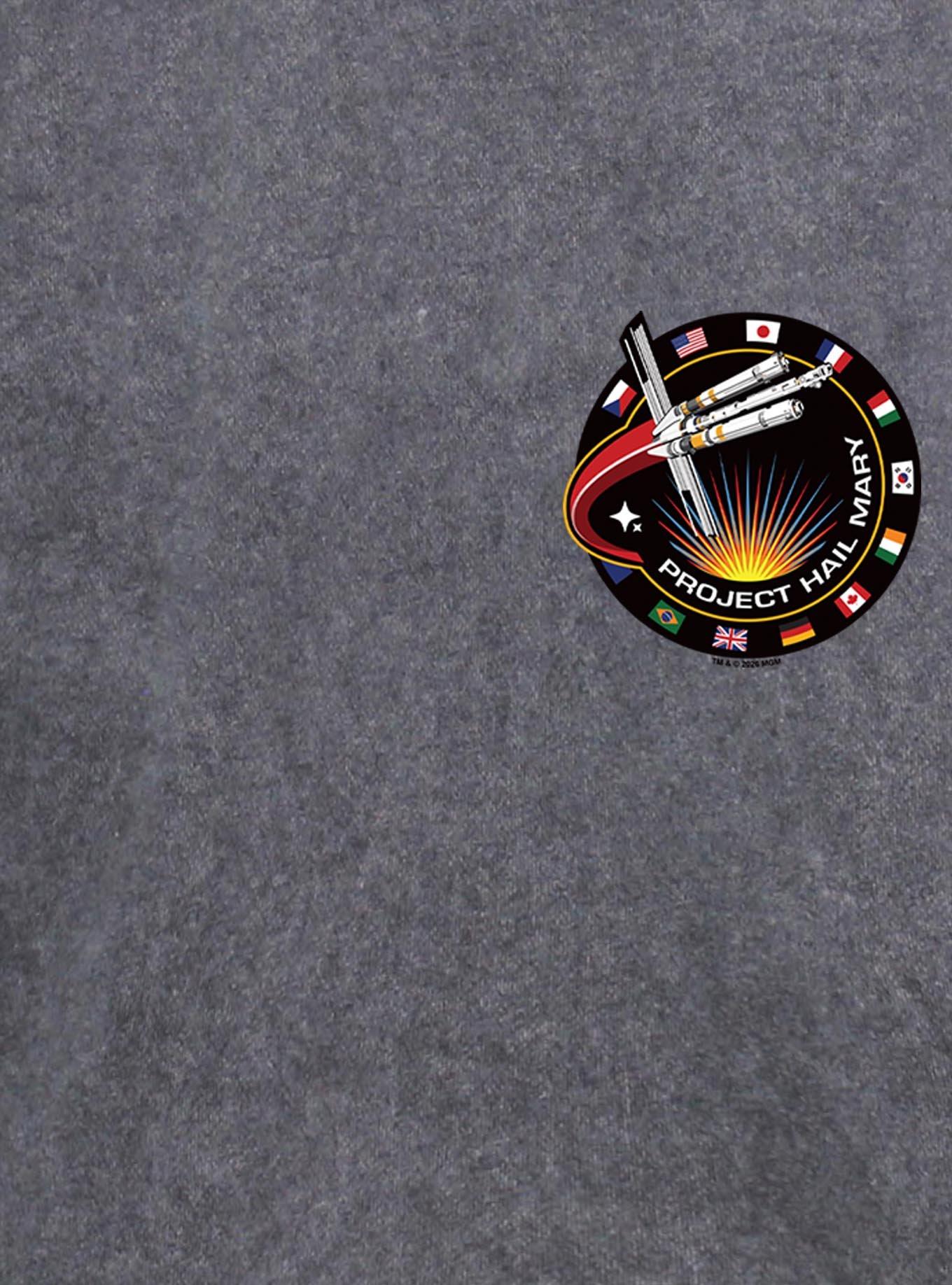 Project Hail Mary Project Patch Mineral Wash Hoodie, , hi-res