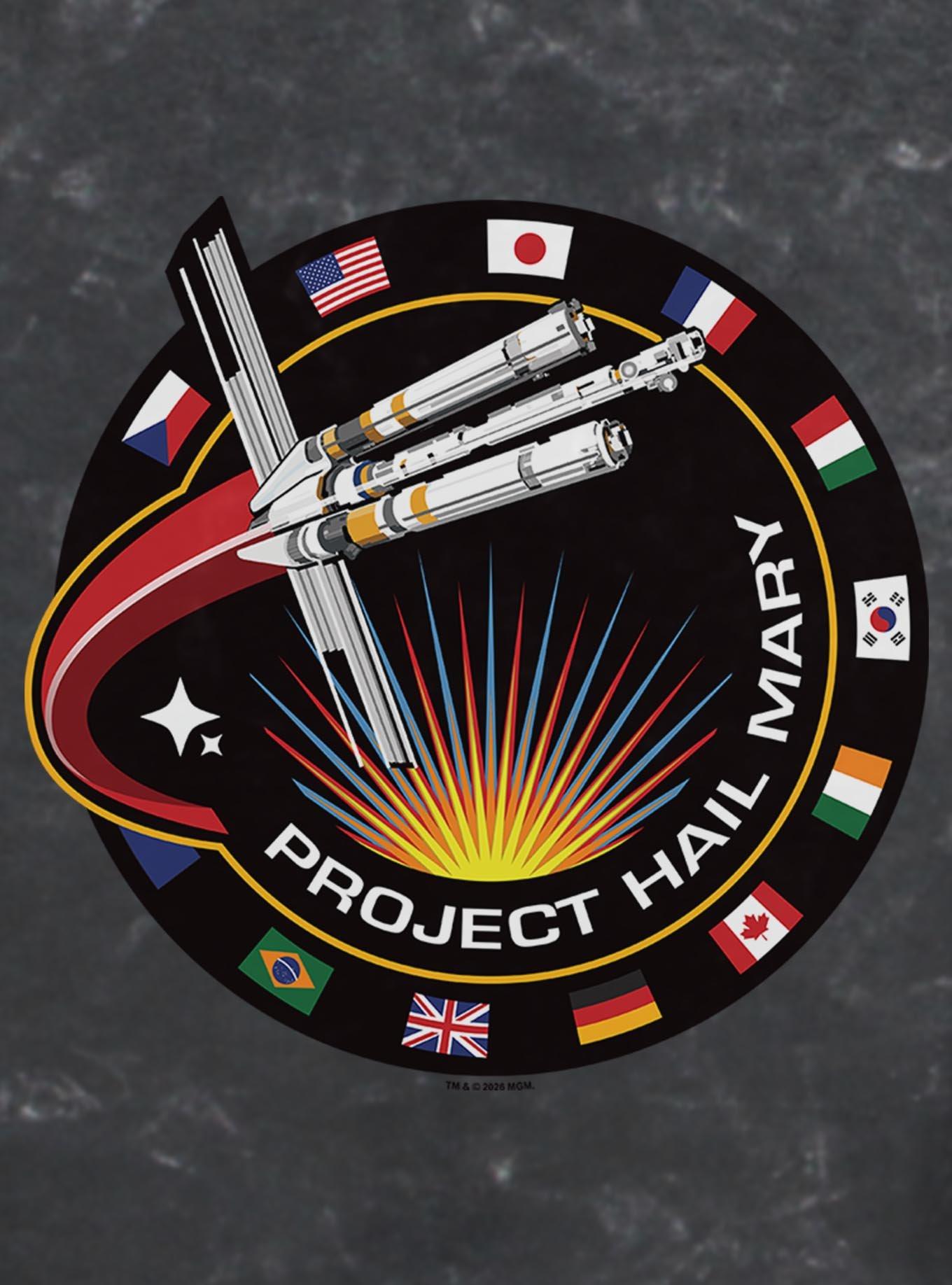 Project Hail Mary Project Patch Womens Mineral Wash Crop T-Shirt, , hi-res