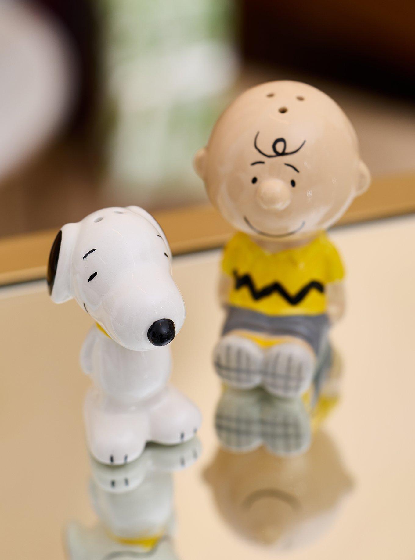 Peanuts Charlie Brown & Snoopy Figural Salt and Pepper Shakers &mdash; BoxLunch Exclusive, , alternate - view 4