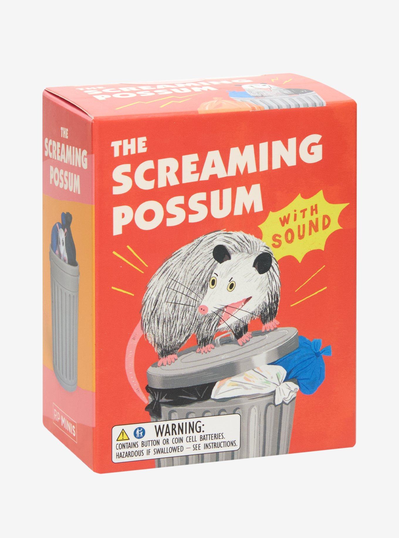 The Screaming Possum, , hi-res