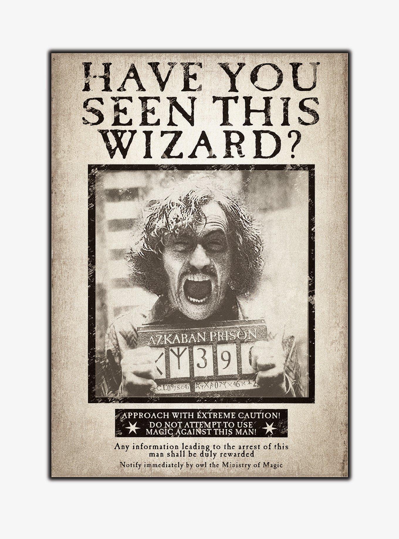Harry Potter Have You Seen Wizard Magnet, , hi-res