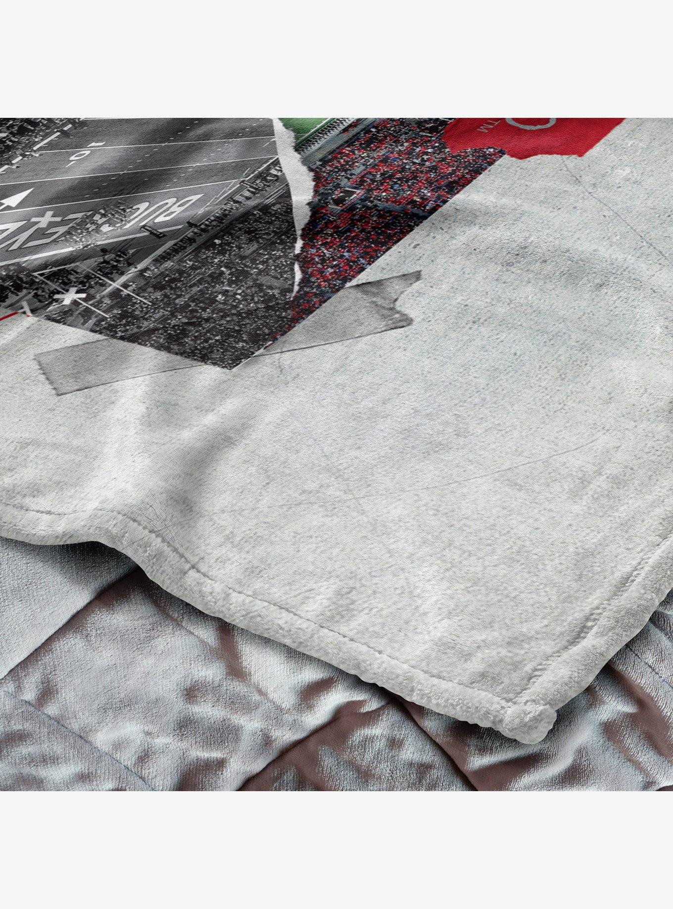 NCAA Ohio State Buckeyes 2024 FBC Champ Love Silk Touch Throw Blanket, , alternate