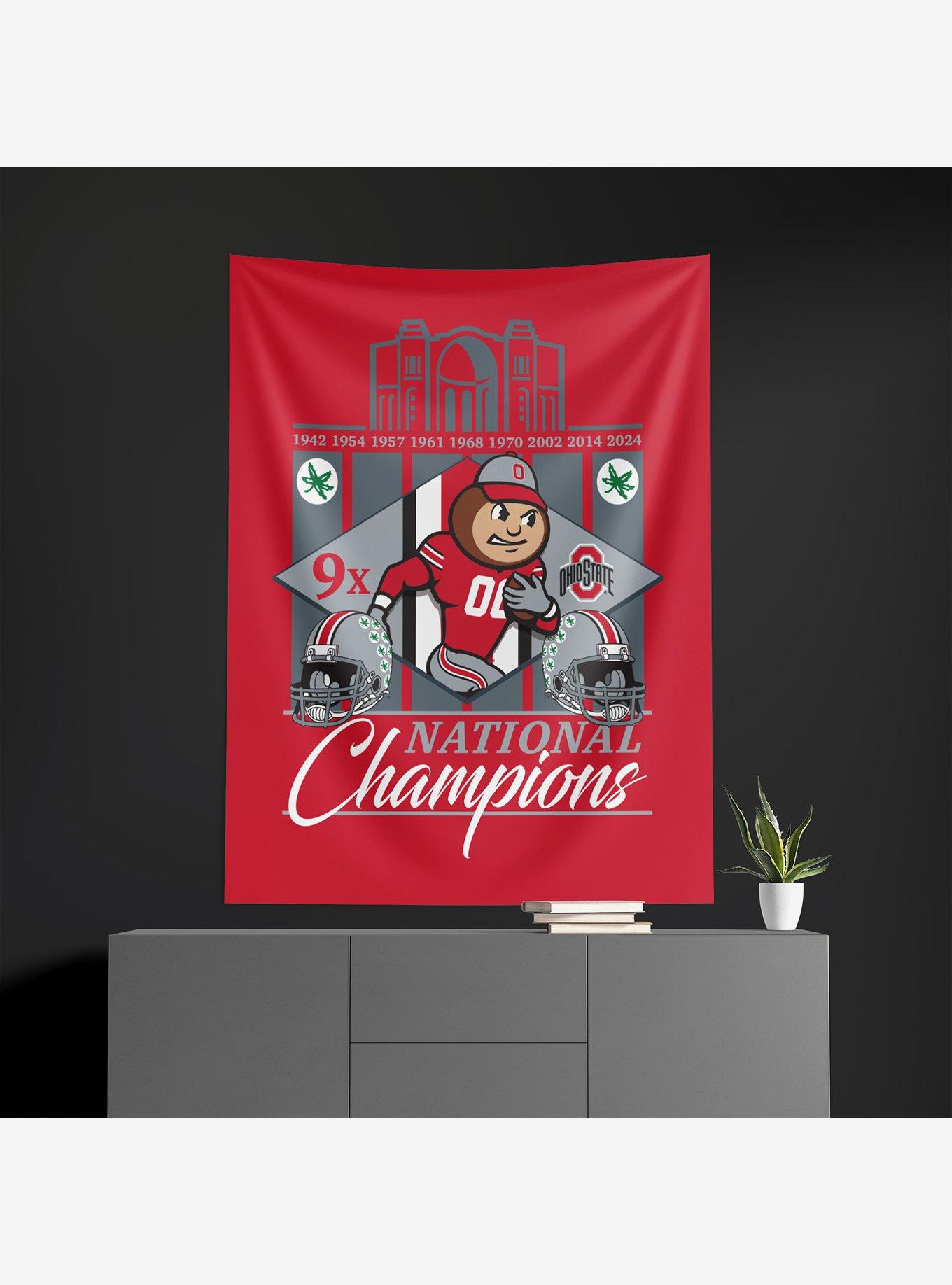 NCAA Ohio State Buckeyes 2024 FBC 9X Champs Wall Hanging, , alternate