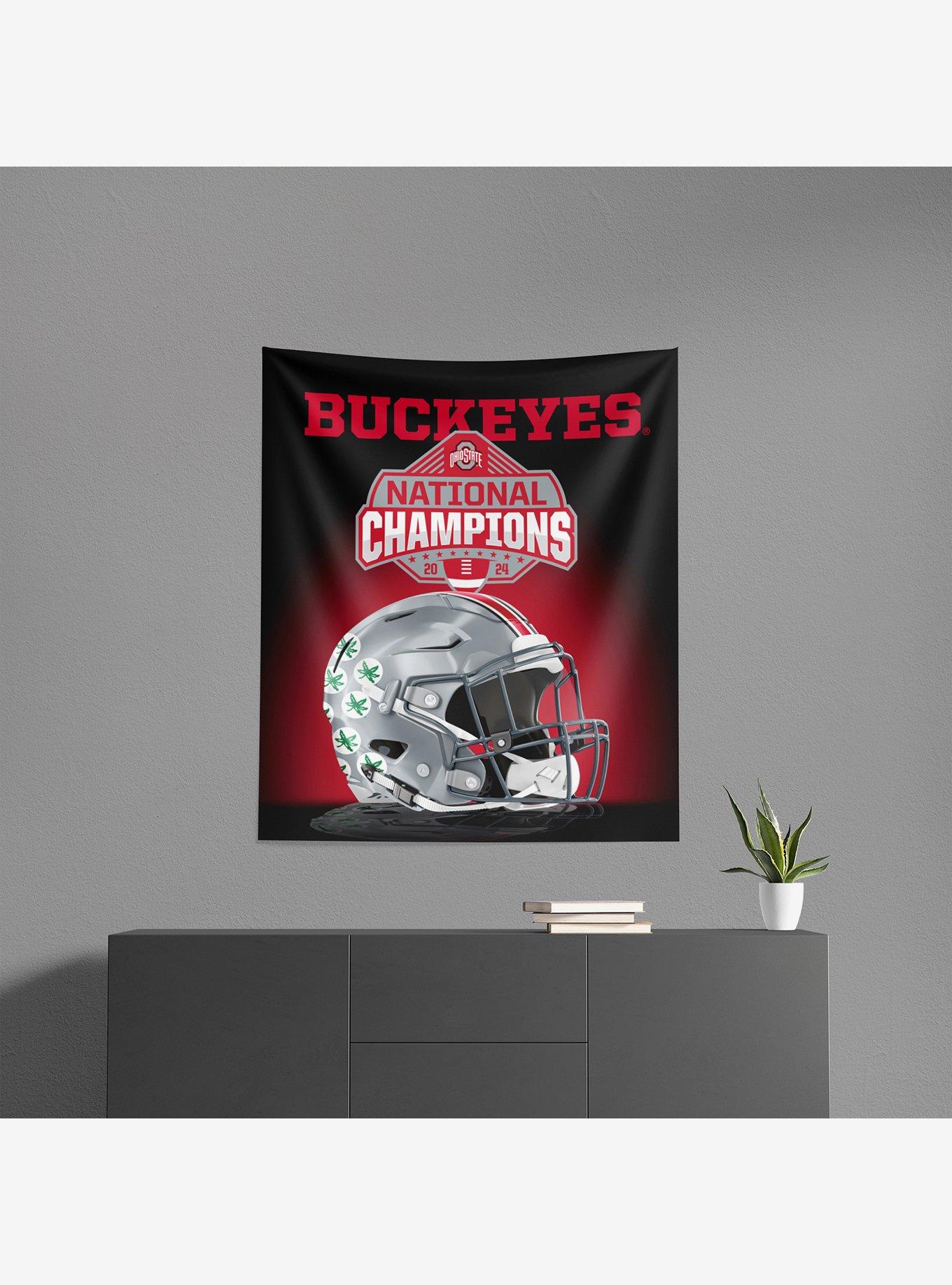 NCAA Ohio State Buckeyes 2024 FBC Spotlight Wall Hanging, , alternate