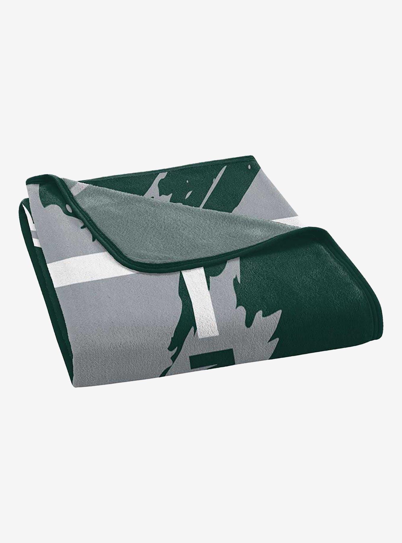 NCAA Michigan State Dimensional Micro Raschel Throw Blanket, , alternate