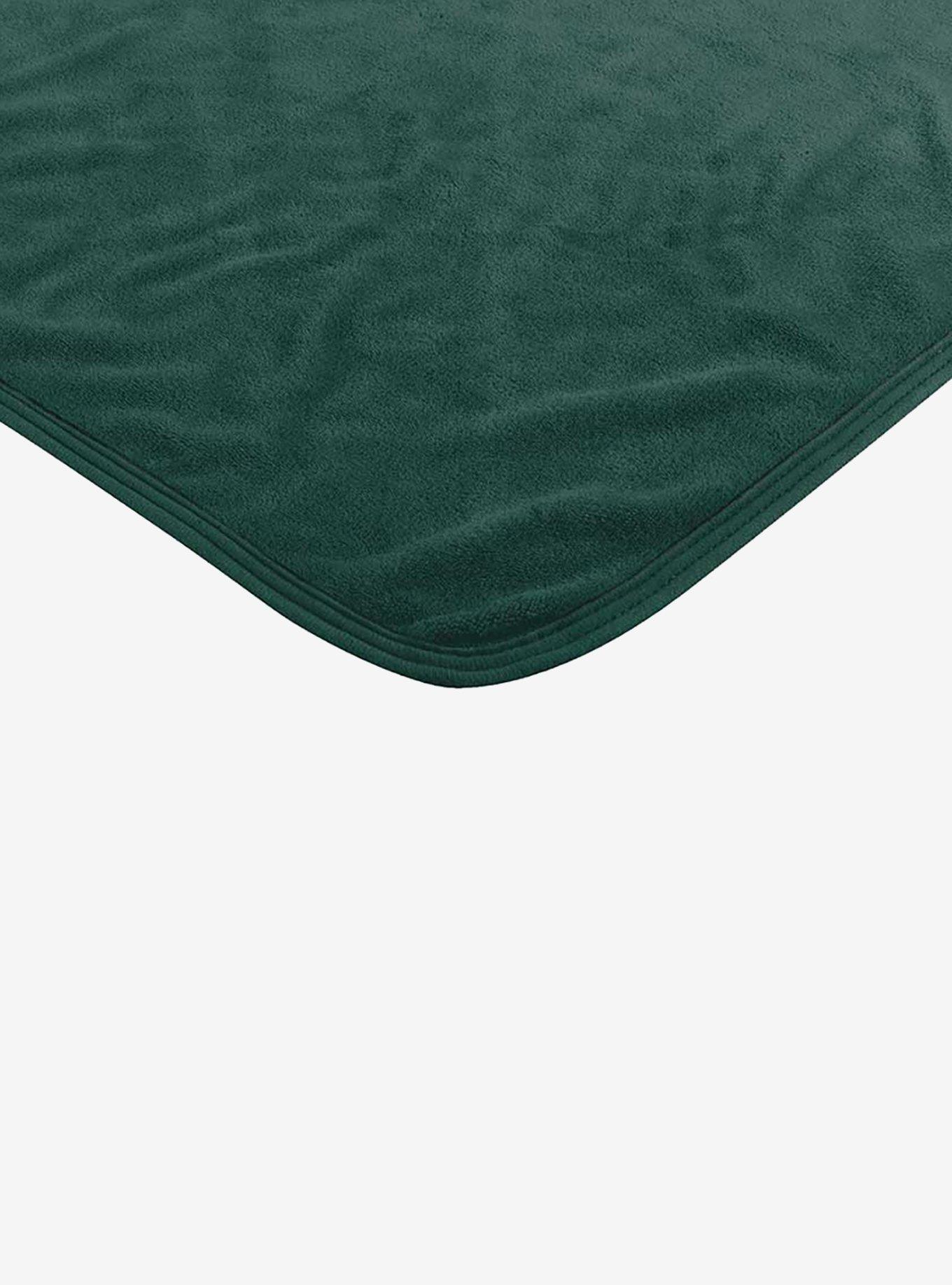 NCAA Michigan State Dimensional Micro Raschel Throw Blanket, , alternate
