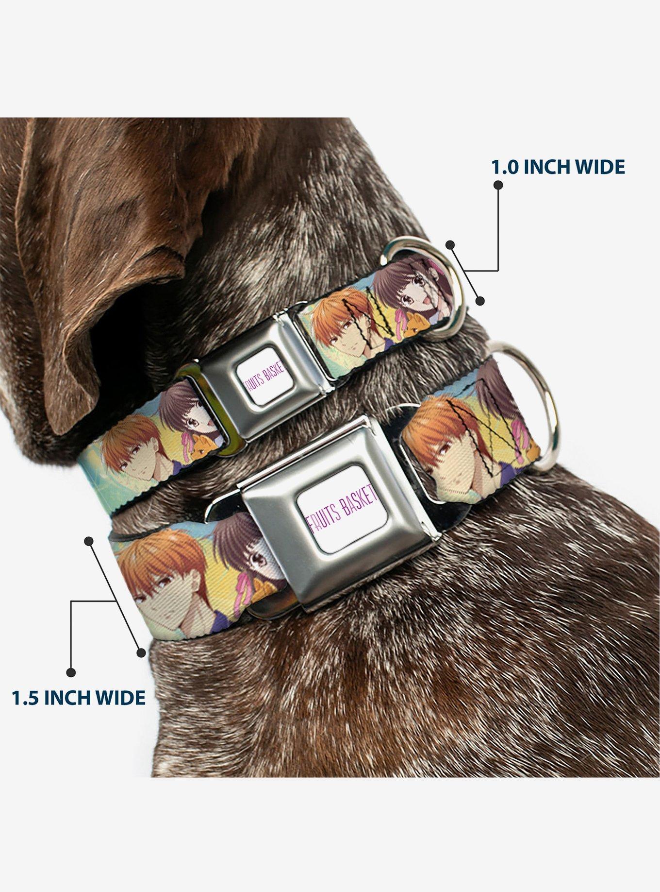 Fruits Basket Kyo Tohru Yuki Group Seatbelt Buckle Dog Collar, , hi-res