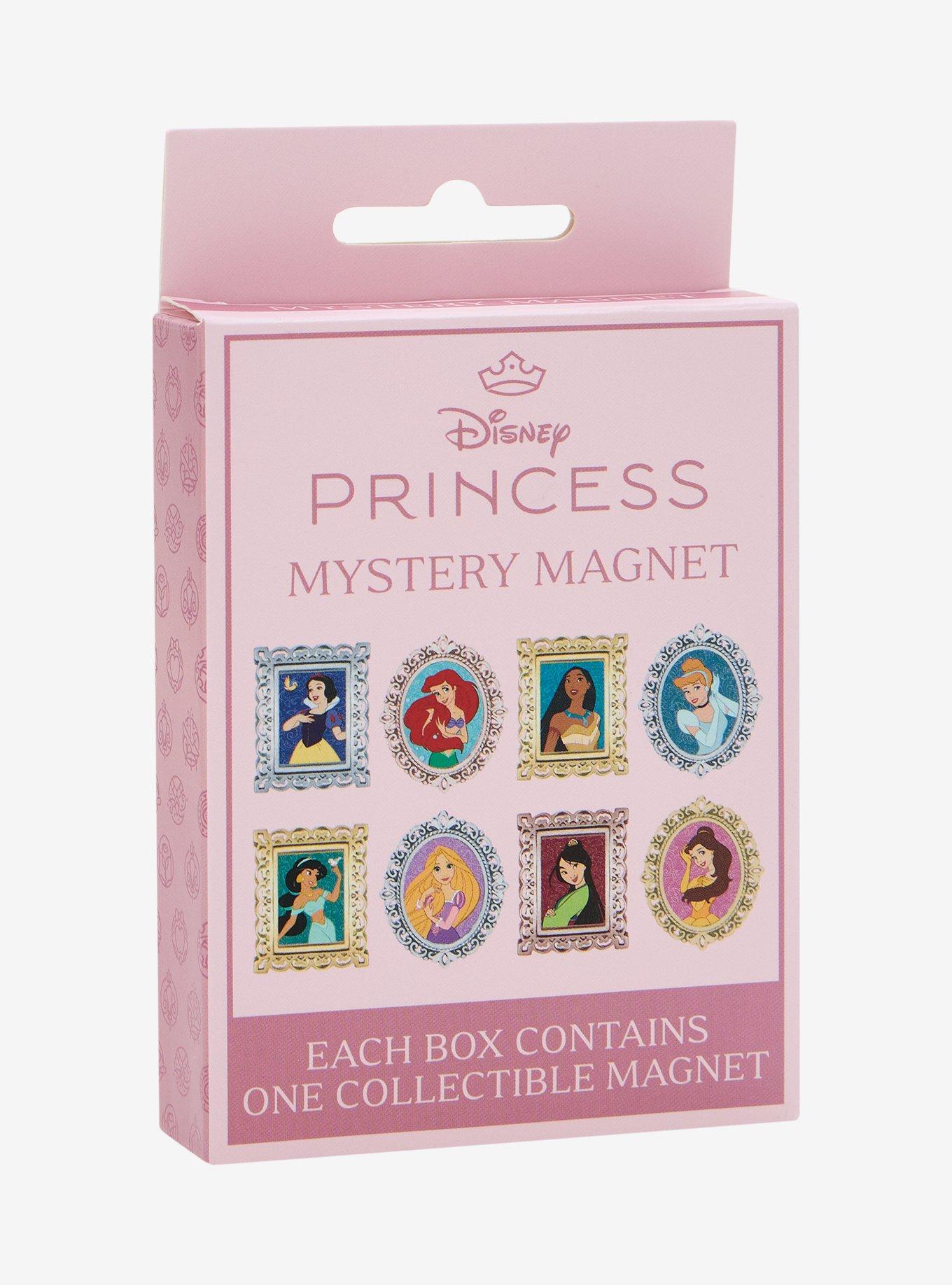 Disney Princess Frames Blind Box Magnet - BoxLunch Exclusive