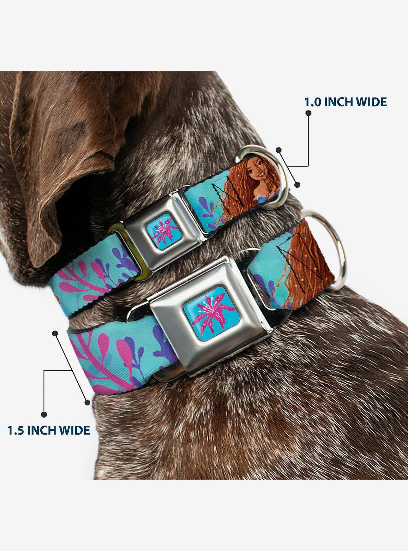 Disney The Little Mermaid Live Action Ariel Under The Sea Poses Seatbelt Buckle Dog Collar, , hi-res